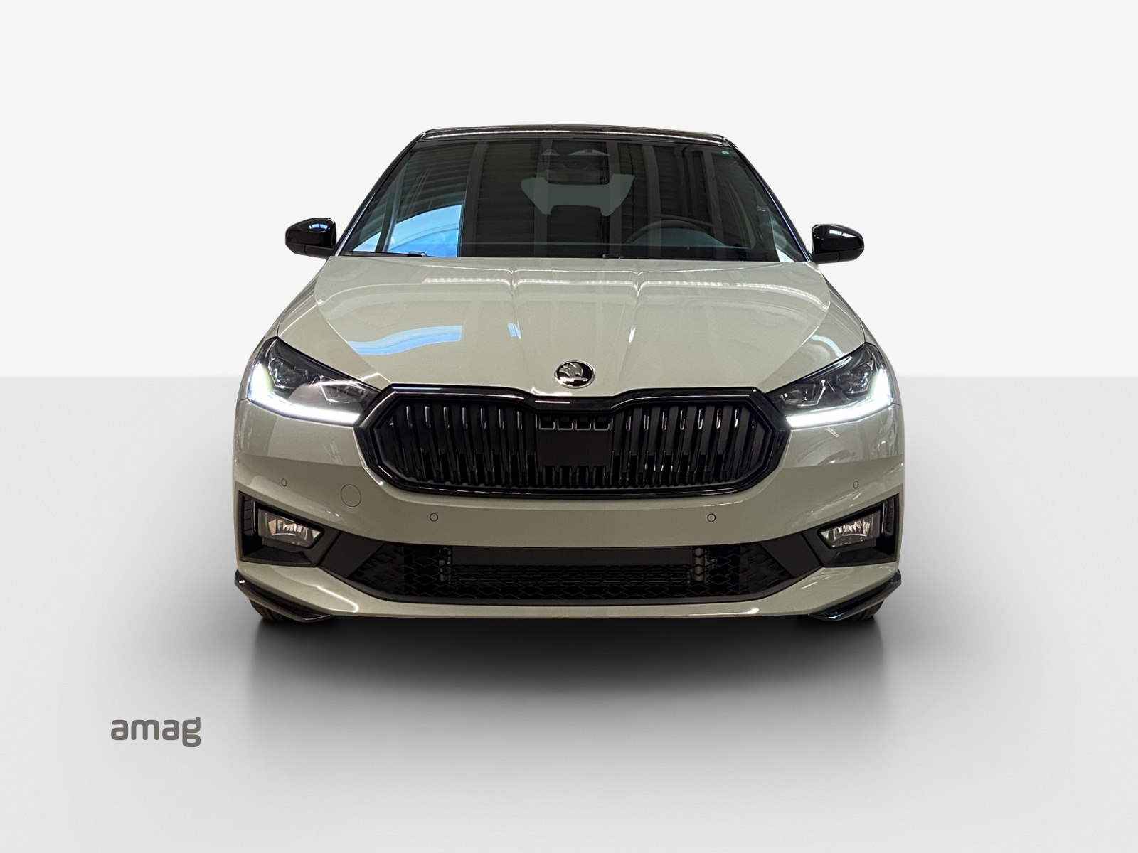 SKODA Fabia 1.0 TSI Monte Carlo DSG-image-6