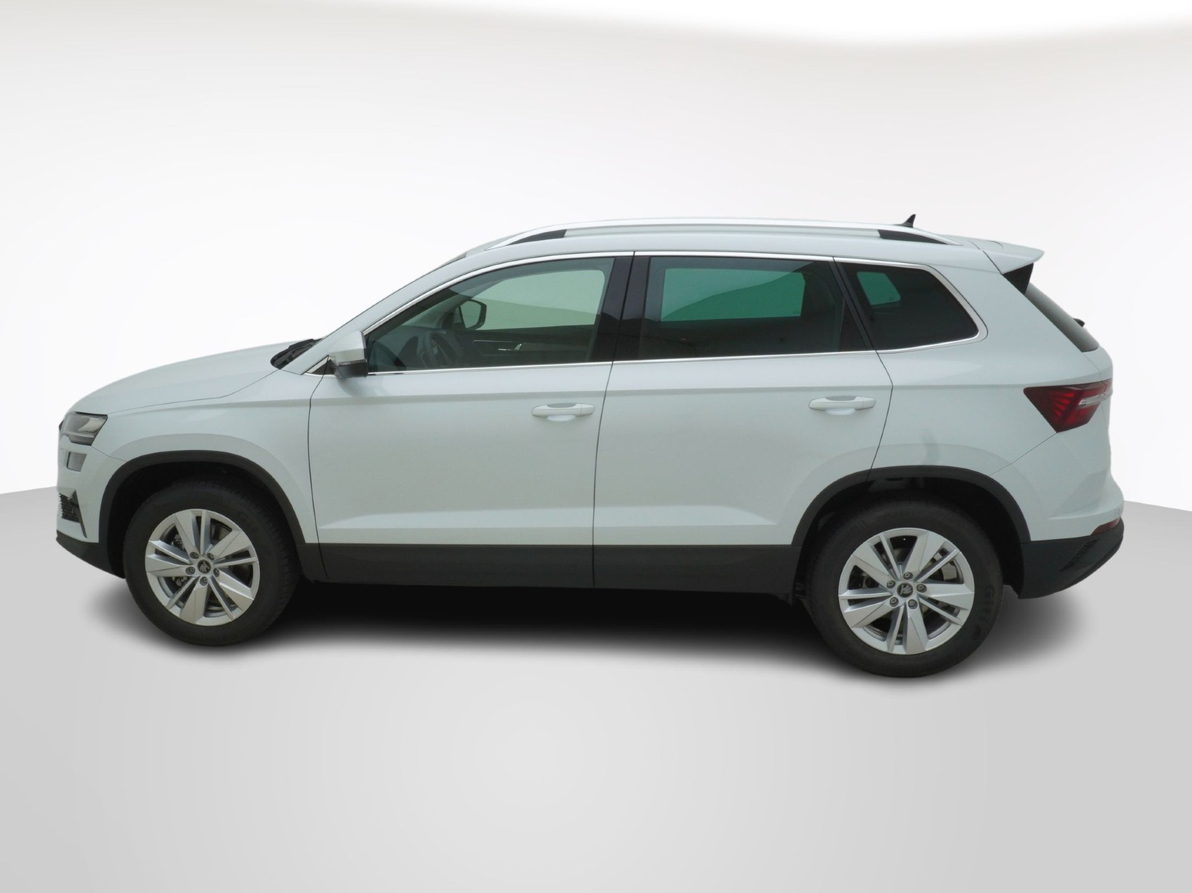 SKODA Karoq 2.0 TDI Selection-Lodge 4x4 DSG-image-1