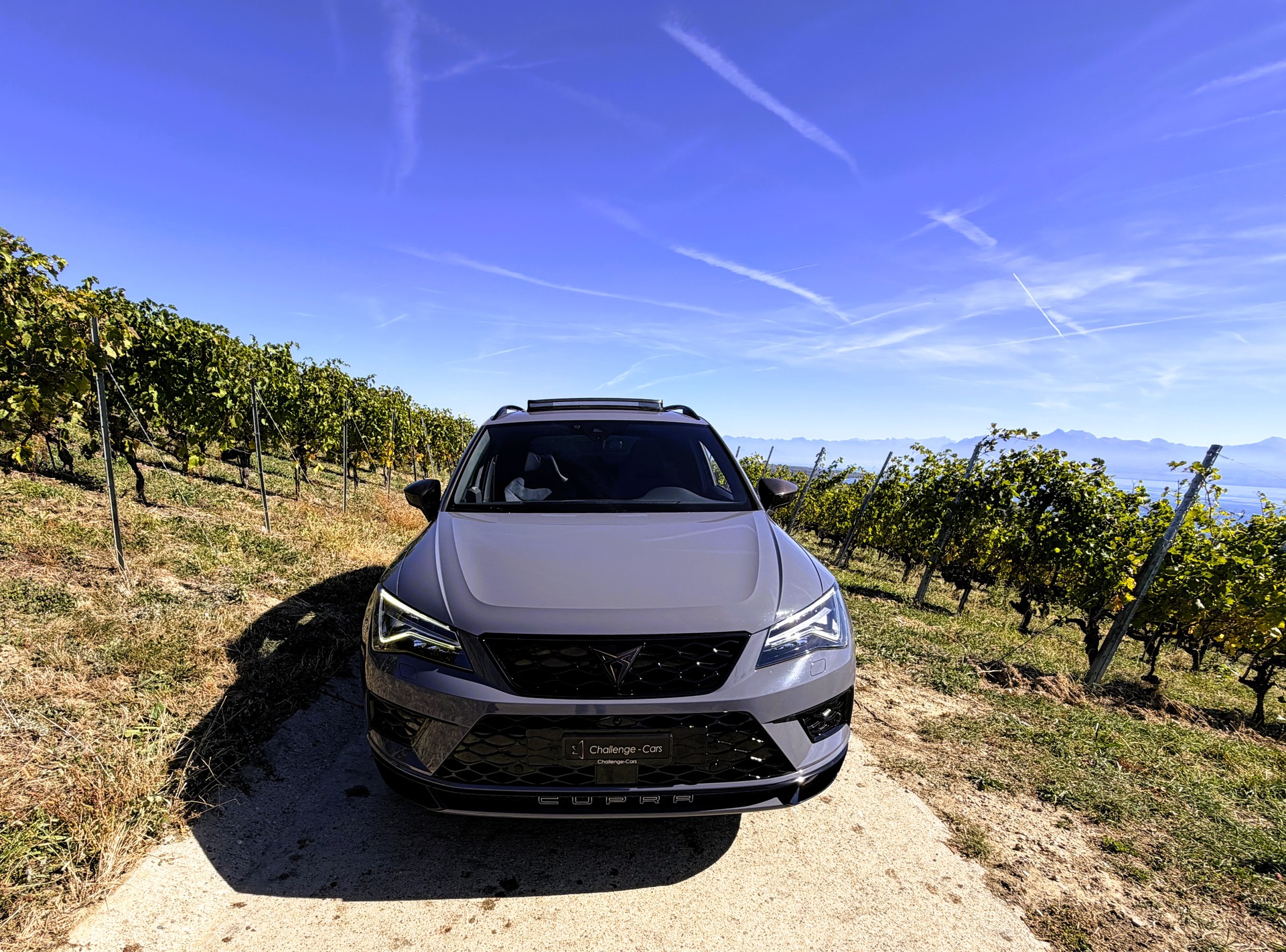 CUPRA Ateca R Limited Edition 4Drive DSG-image-2