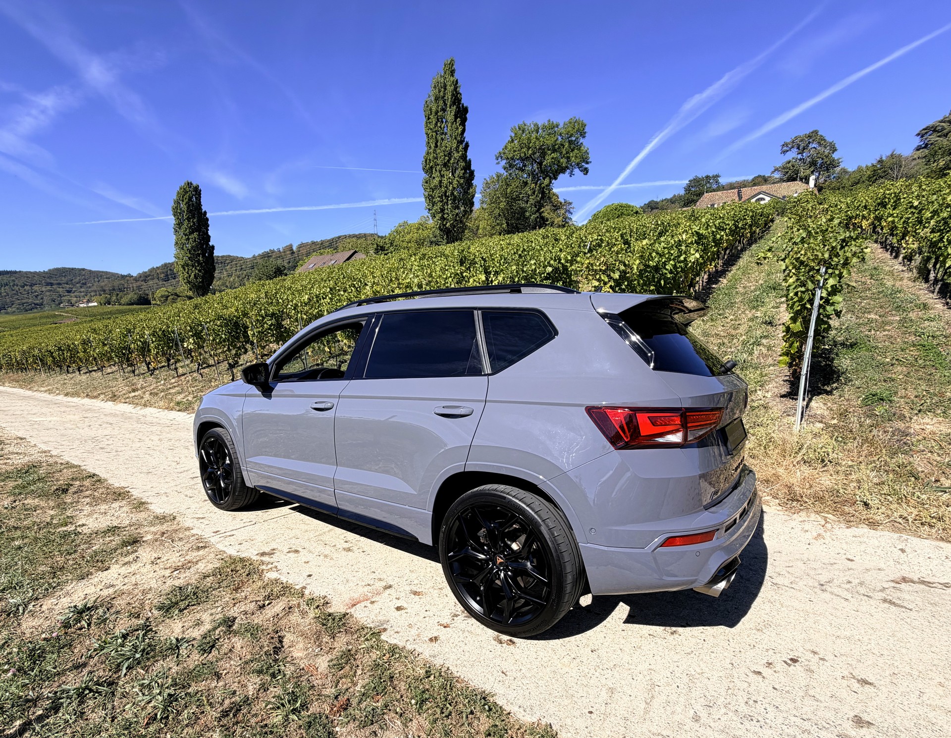 CUPRA Ateca R Limited Edition 4Drive DSG-image-11