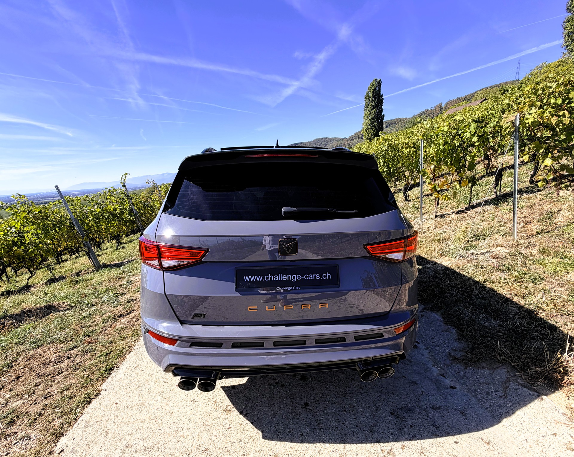 CUPRA Ateca R Limited Edition 4Drive DSG-image-9