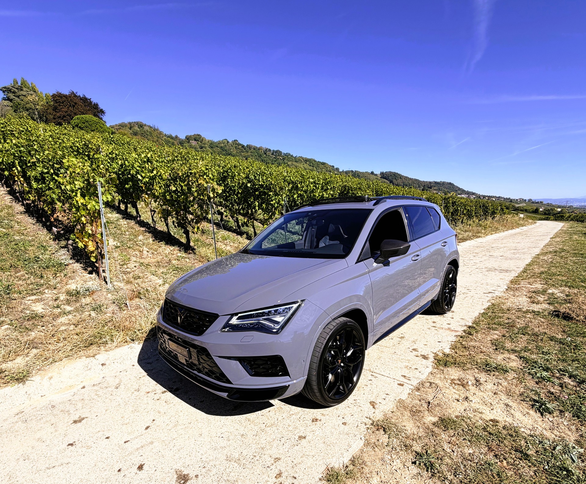 CUPRA Ateca R Limited Edition 4Drive DSG-image-0