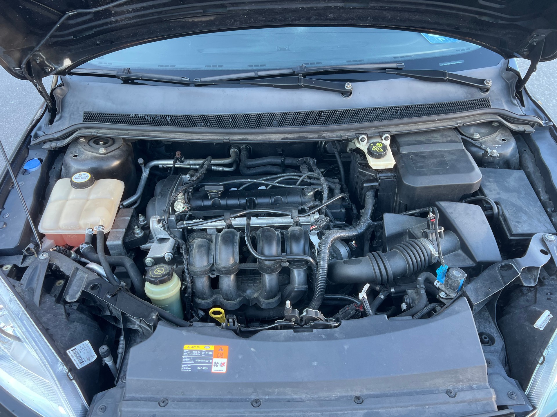 FORD Focus 1.6i VCT Titanium-image-13