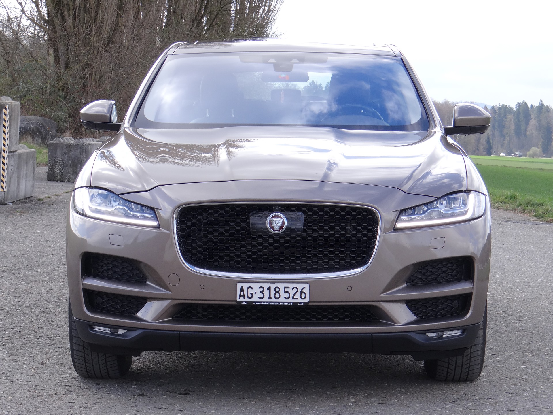 JAGUAR F-Pace 3.0 V6 Portfolio AWD Automatik-showroom-element-2