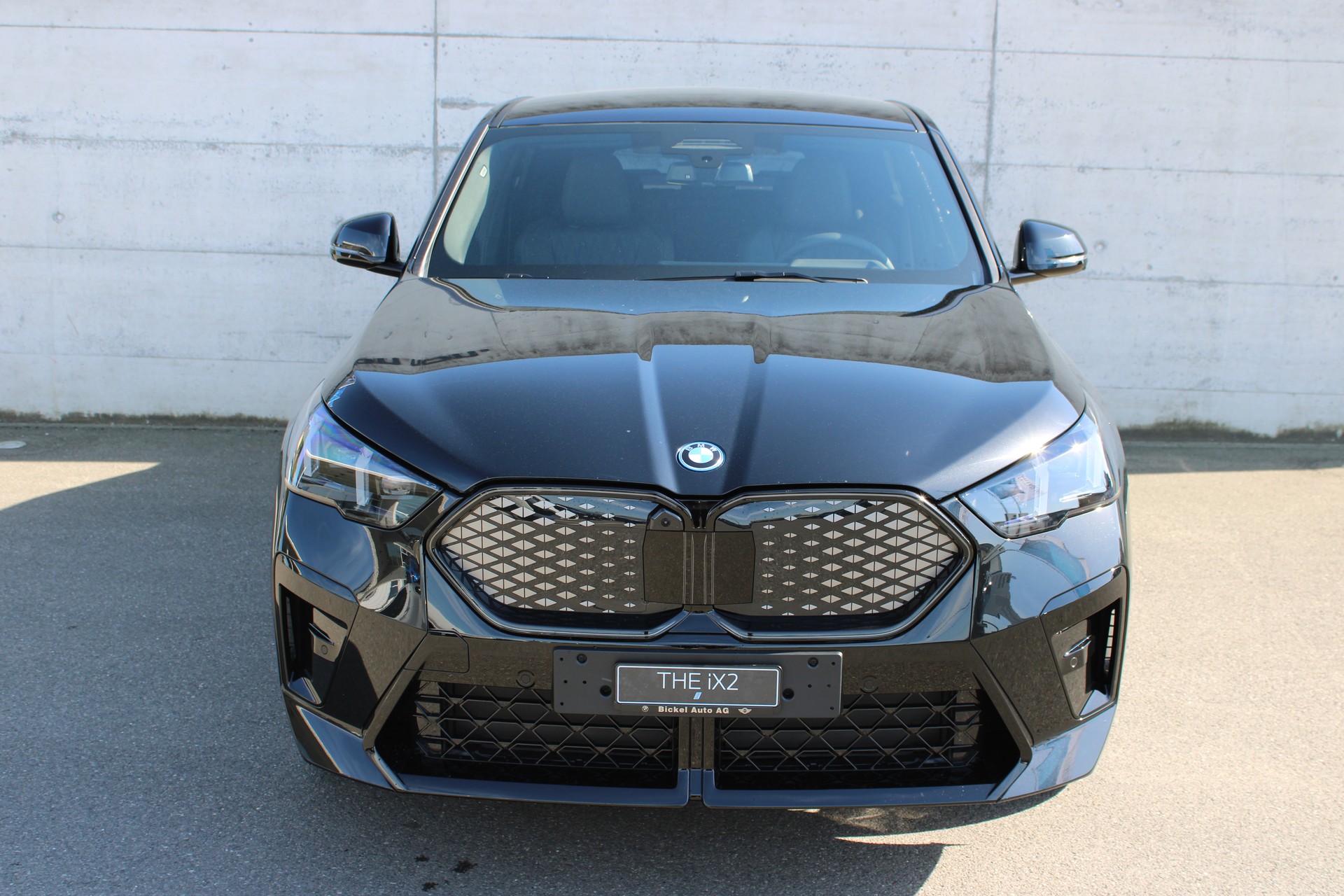 BMW iX2 xDrive 30 M Sport Pro-showroom-element-1