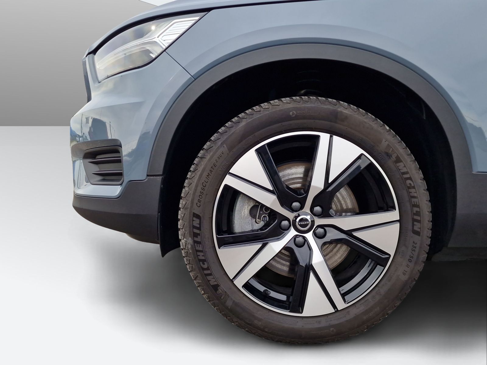 VOLVO XC40 P6 Plus-image-8