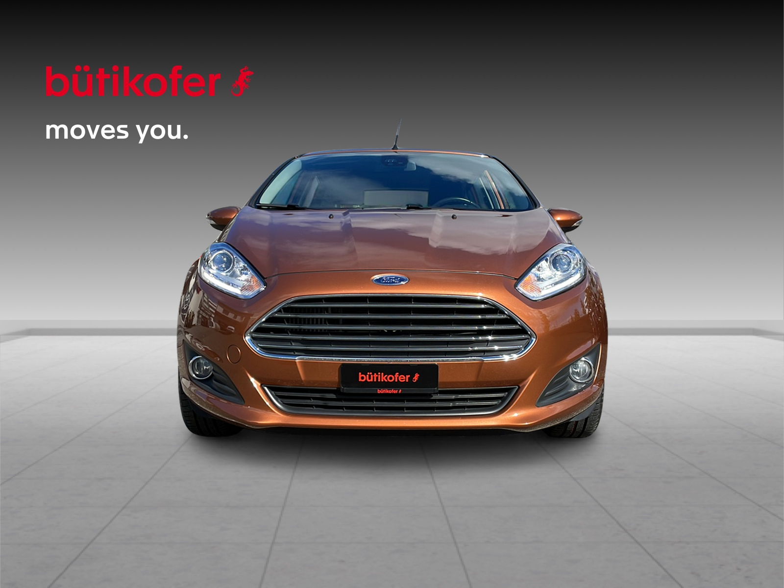 FORD Fiesta 1.0 EcoB 100 Trend-showroom-element-1