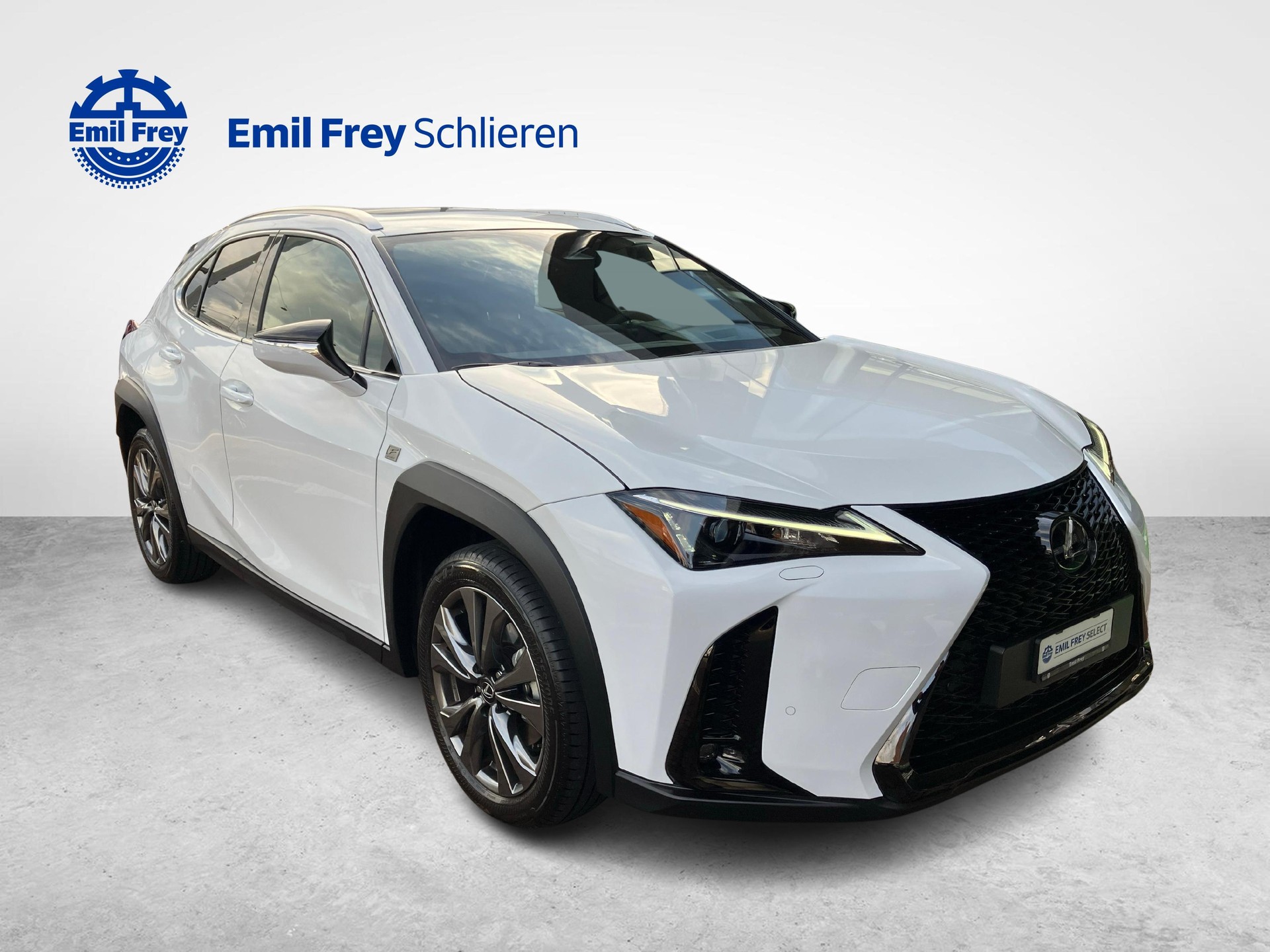 LEXUS UX 300h F-Line-image-6