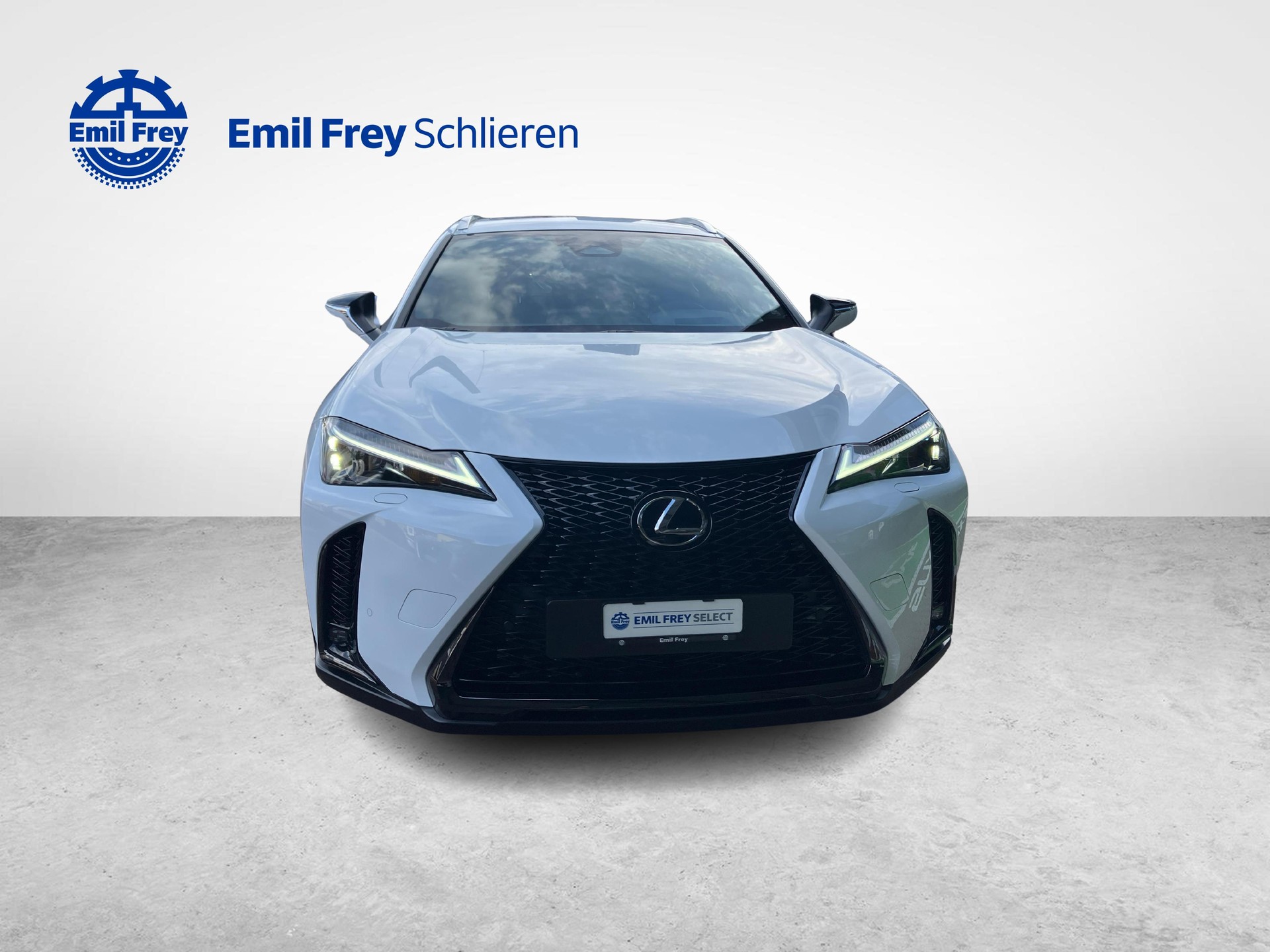 LEXUS UX 300h F-Line-image-7