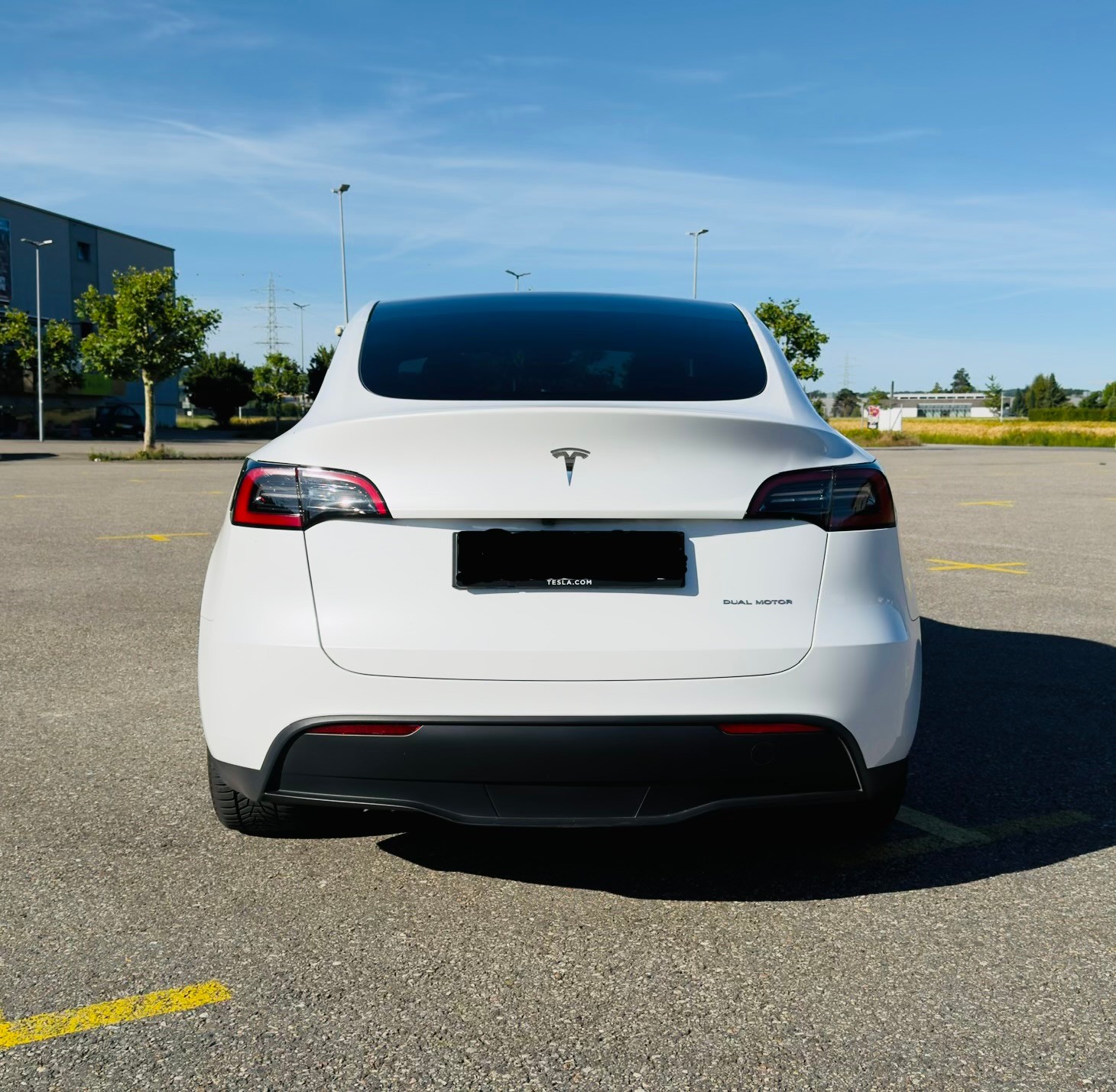 TESLA Long Range D-image-3