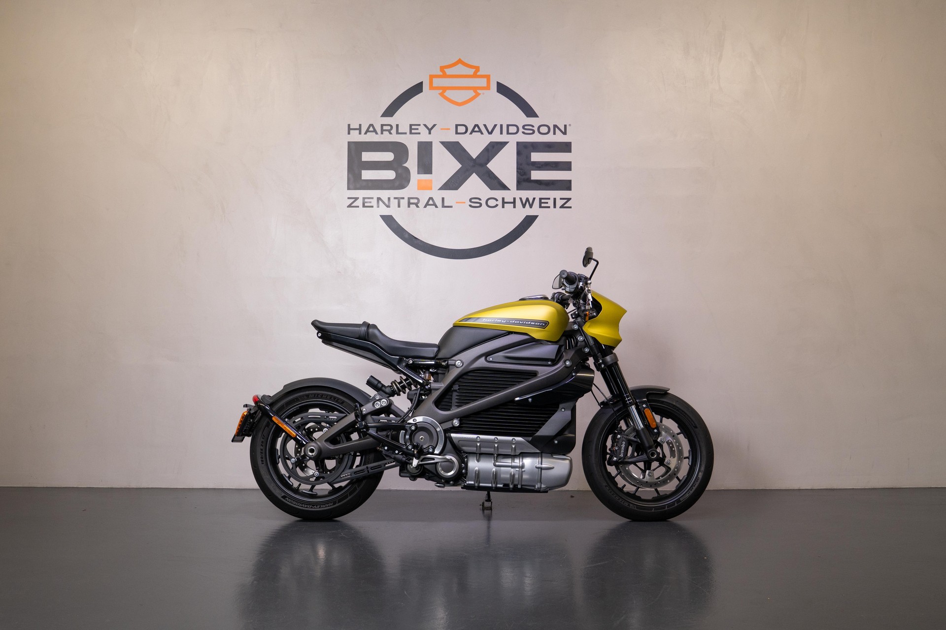 HARLEY-DAVIDSON Live Wire