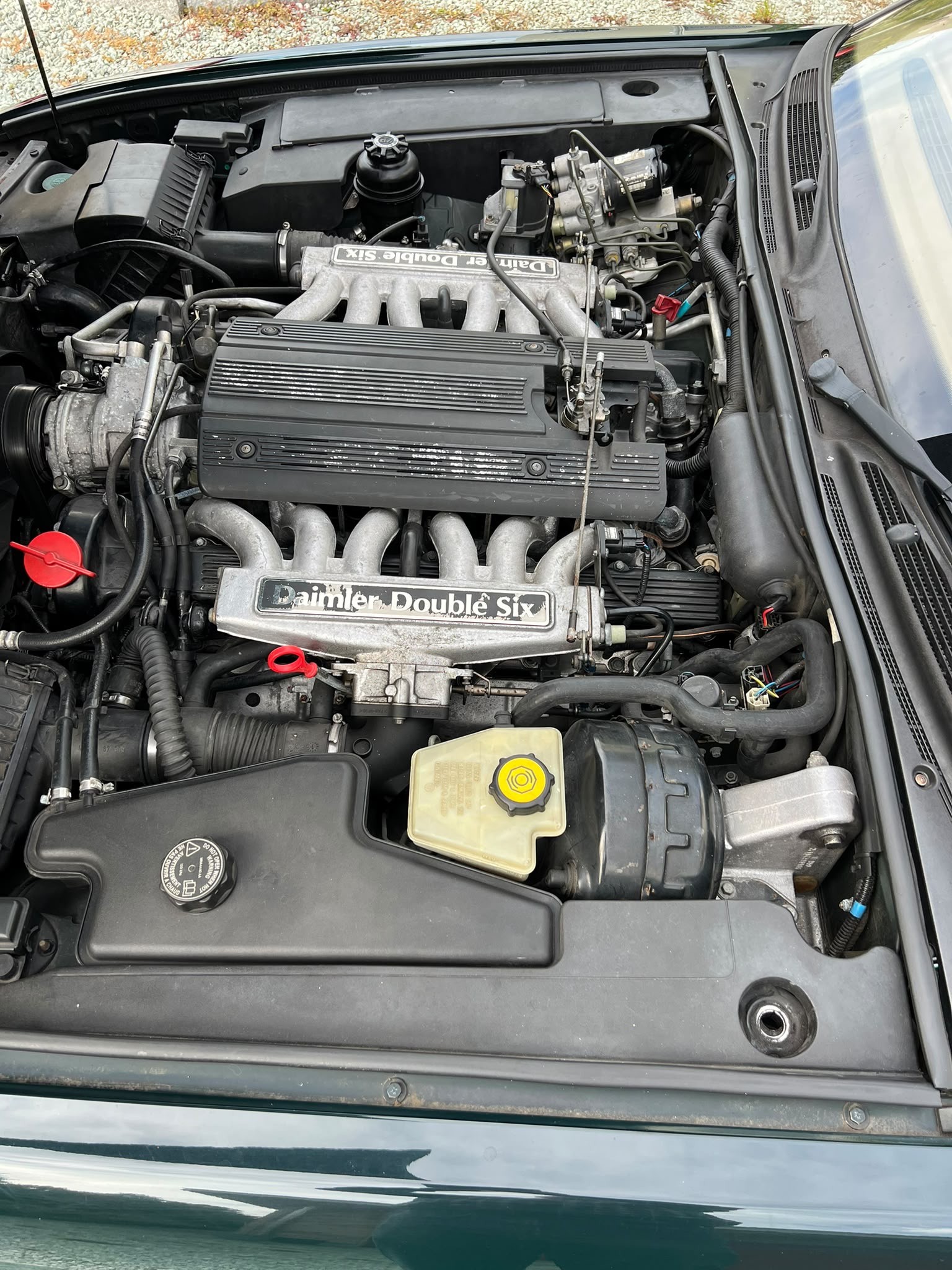 DAIMLER 6.0 Double Six-image-5