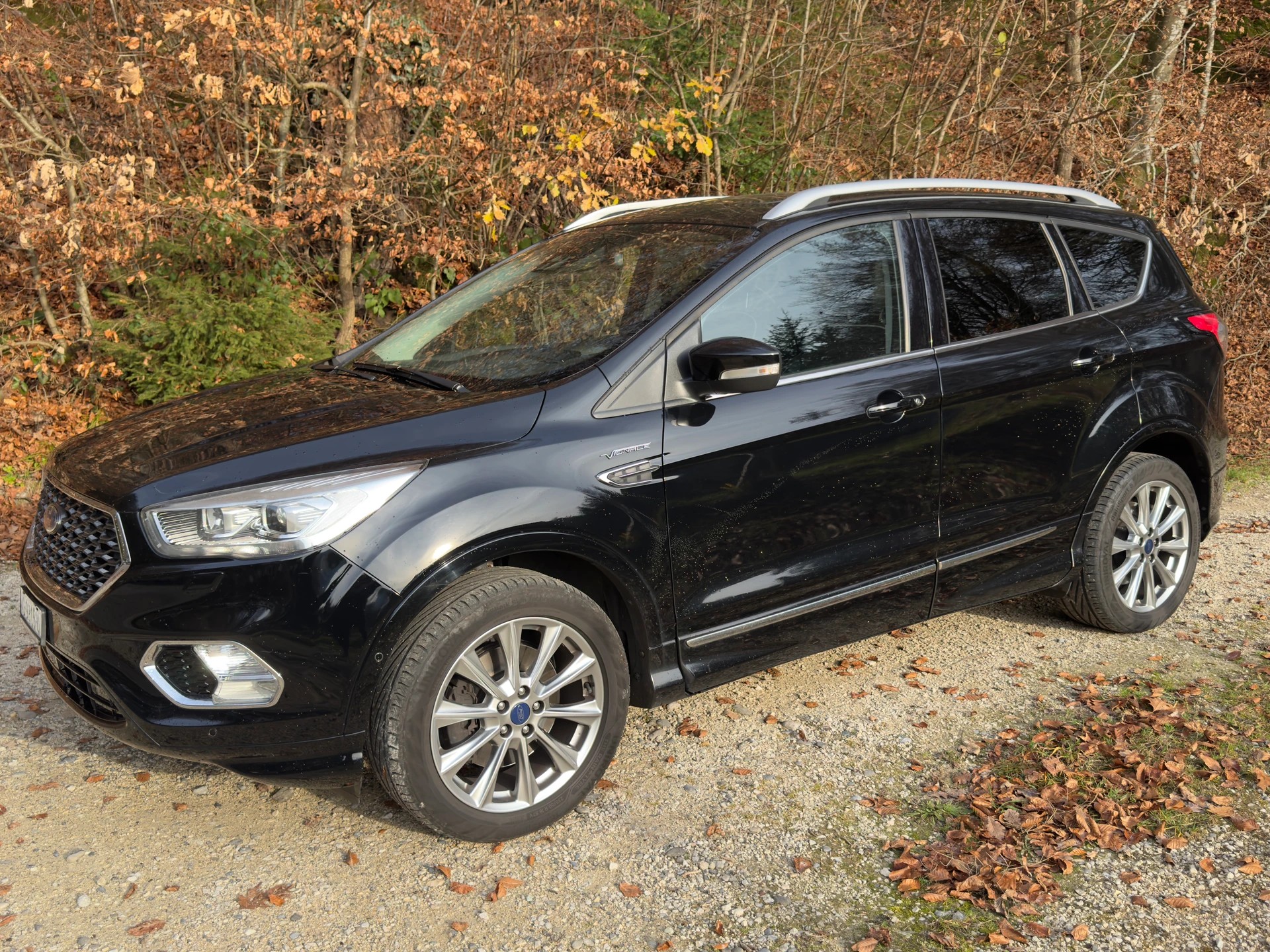FORD Kuga 2.0 TDCi Vignale 4WD PowerShift-image-2