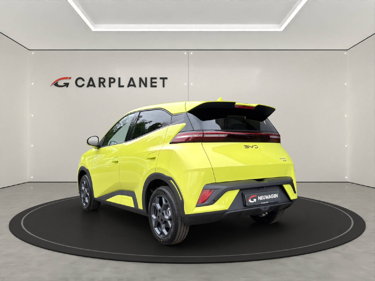 BYD Dolphin Surf Comfort-showroom-element-2