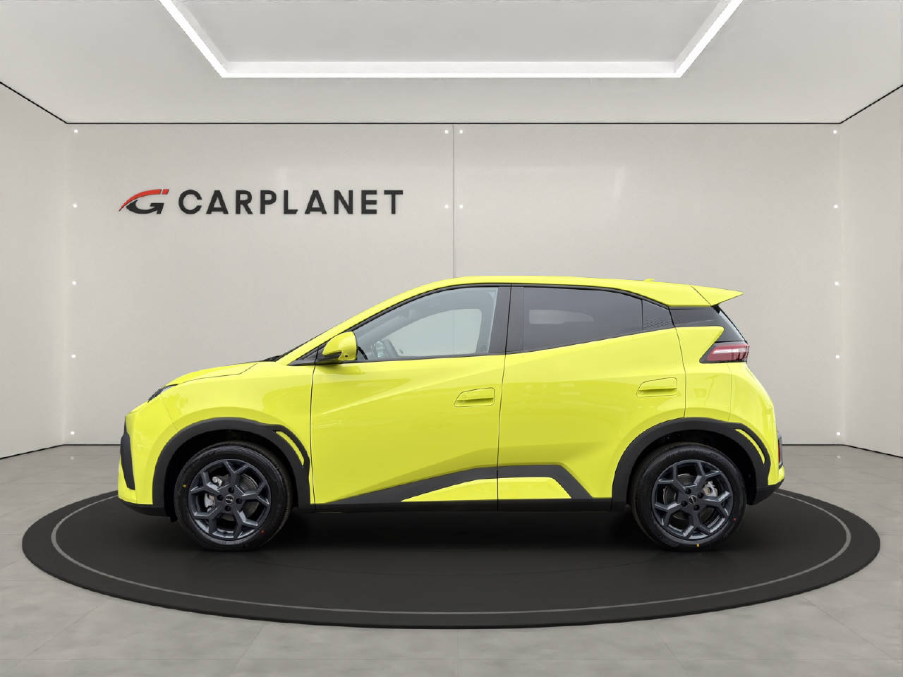 BYD Dolphin Surf Comfort-showroom-element-1