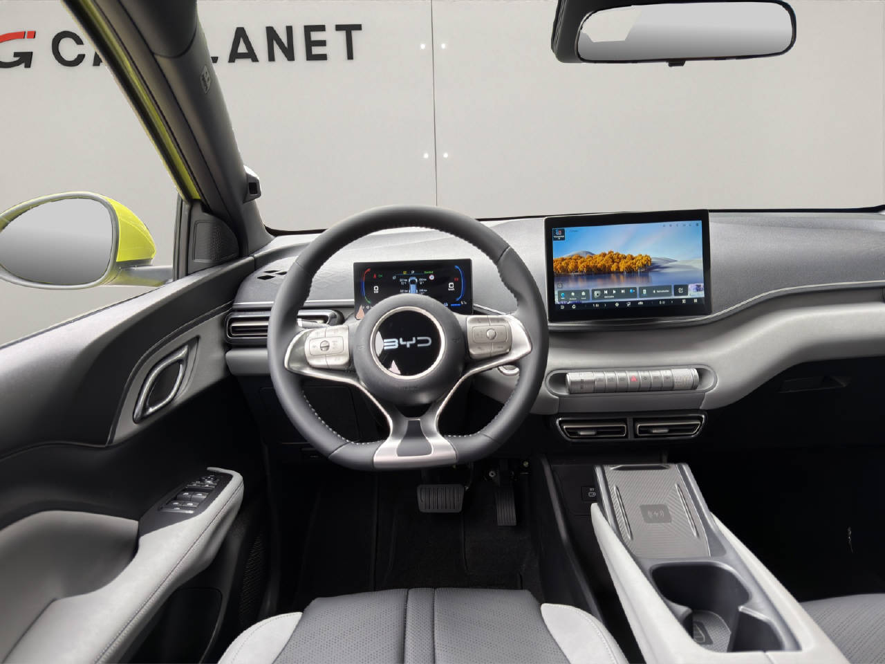 BYD Dolphin Surf Comfort-image-4