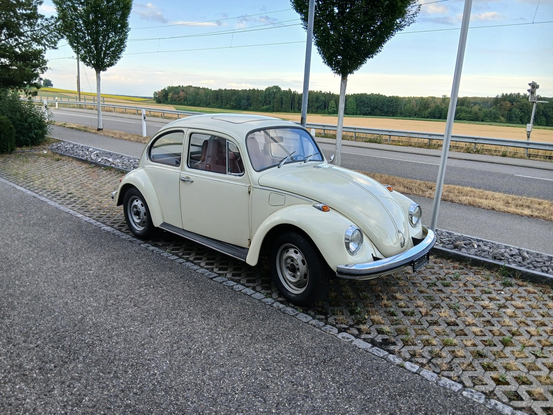 VW Käfer-image-1