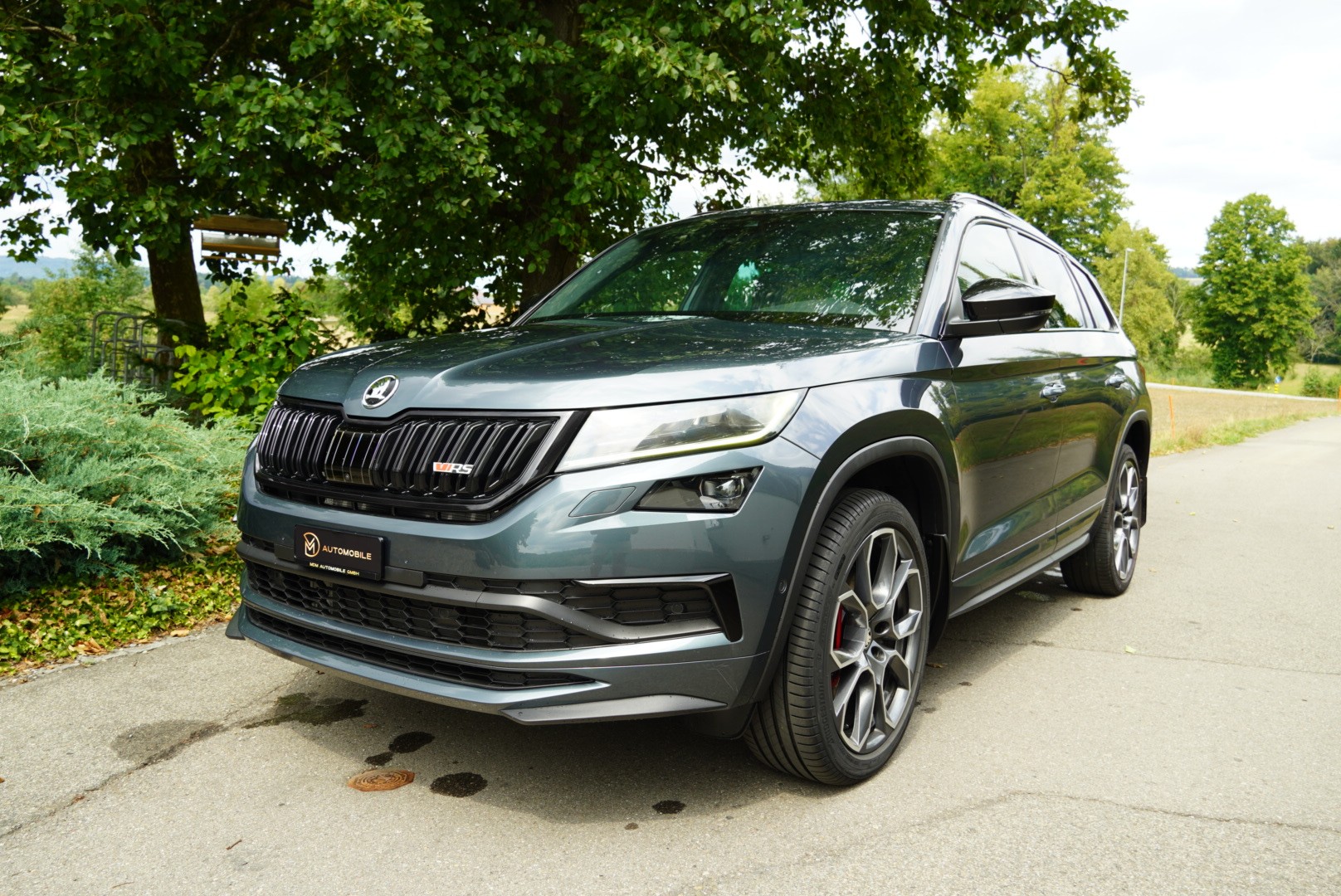 SKODA Kodiaq 2.0 Bi-TDI SCR RS 4x4 DSG * AHK * GARANTIE *-image-0