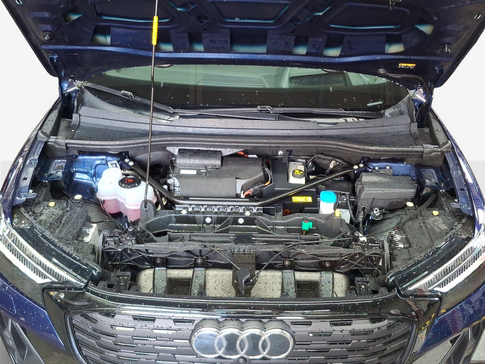AUDI Q4 Sportback e-tron 50 quattro-image-15
