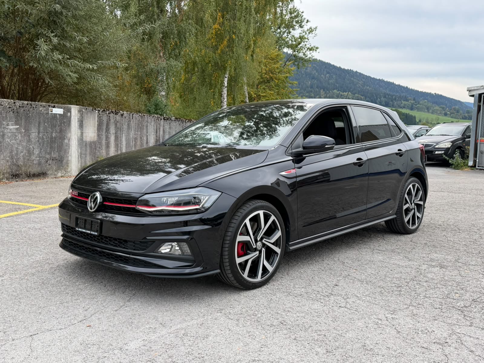 VW Polo 2.0 TSI GTI DSG-image-0