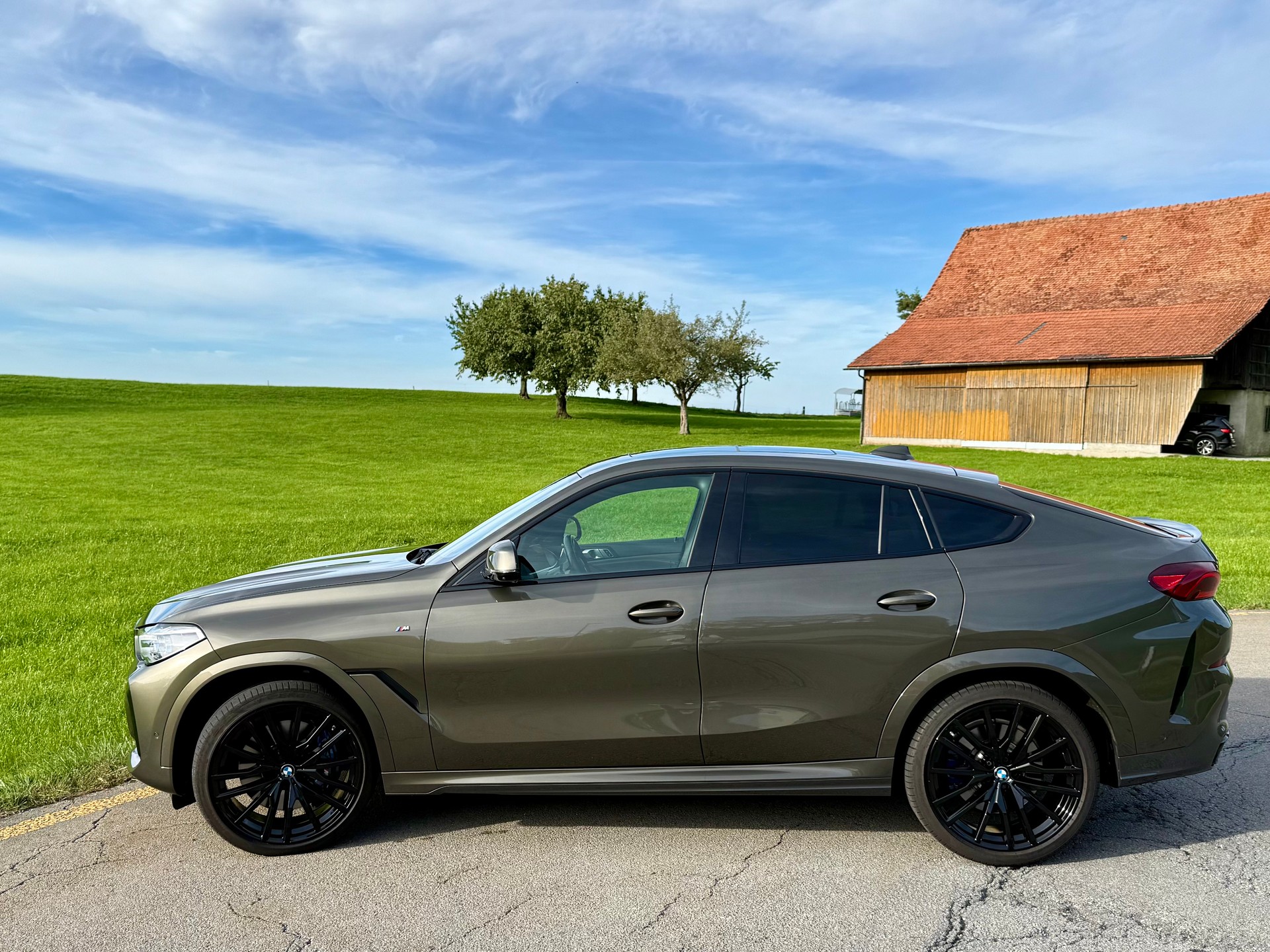 BMW X6 M50i-image-1