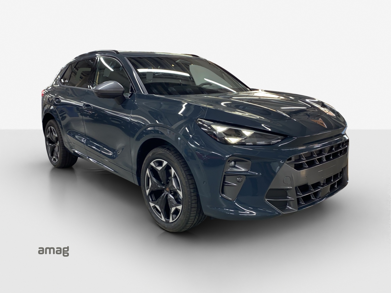 CUPRA Terramar 1.5 eTSI Prime Edition DSG-image-5