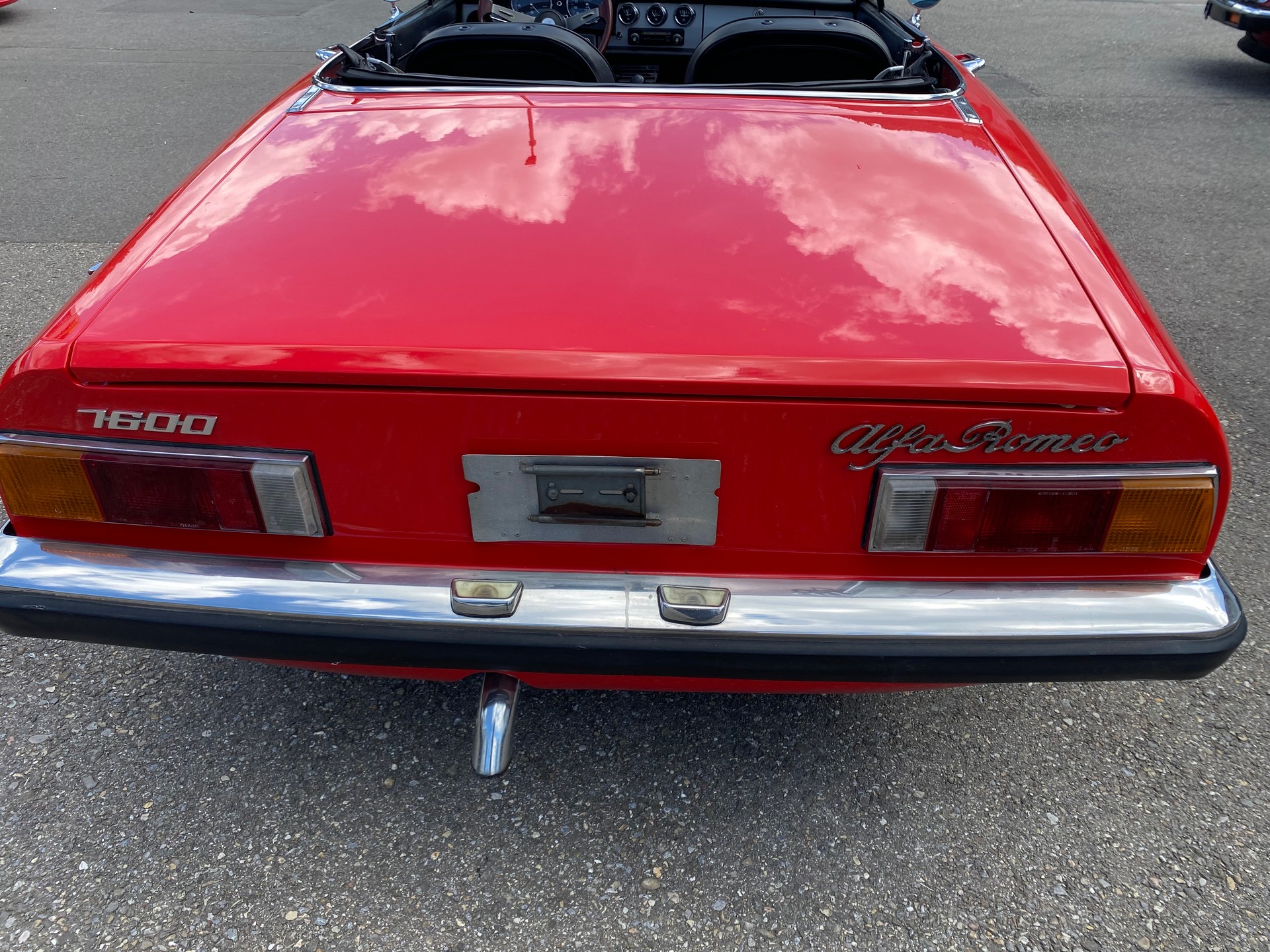 ALFA ROMEO SPIDER-image-4