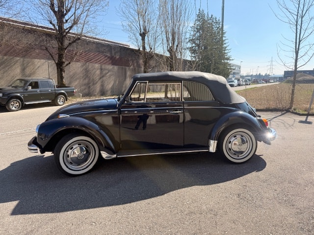 VW 1302-image-3