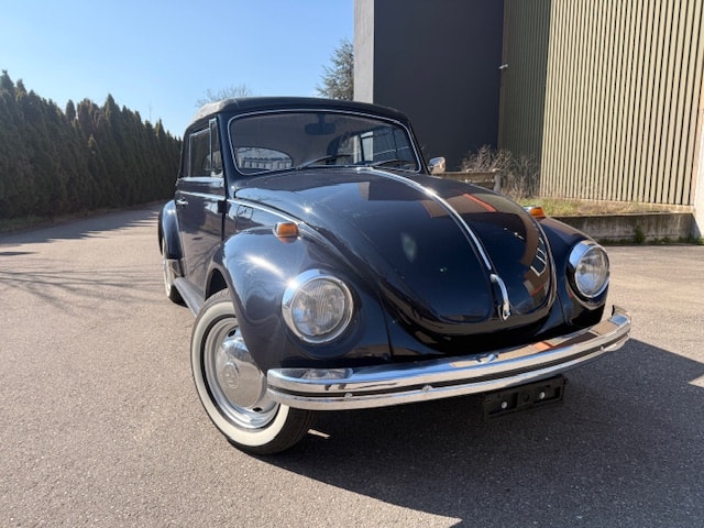 VW 1302