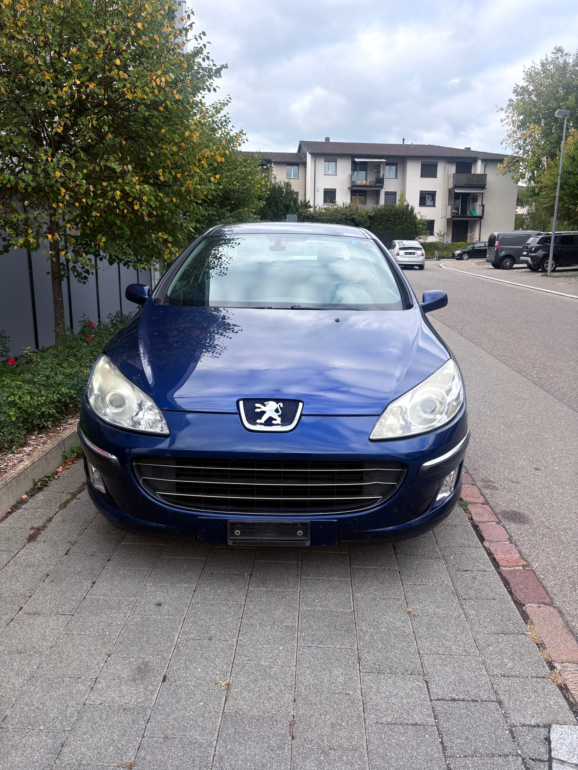 PEUGEOT 407 2.2 SV Executive-image-1
