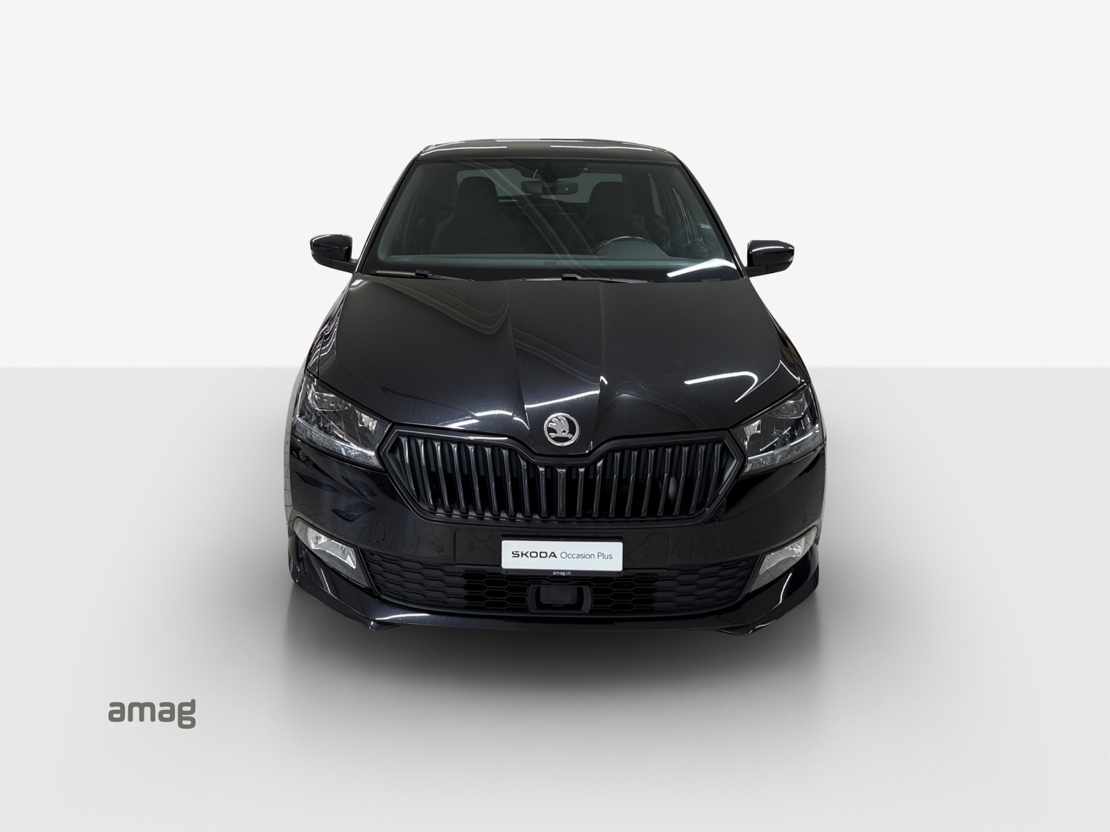 SKODA Fabia 1.0 TSI Monte Carlo DSG-image-6