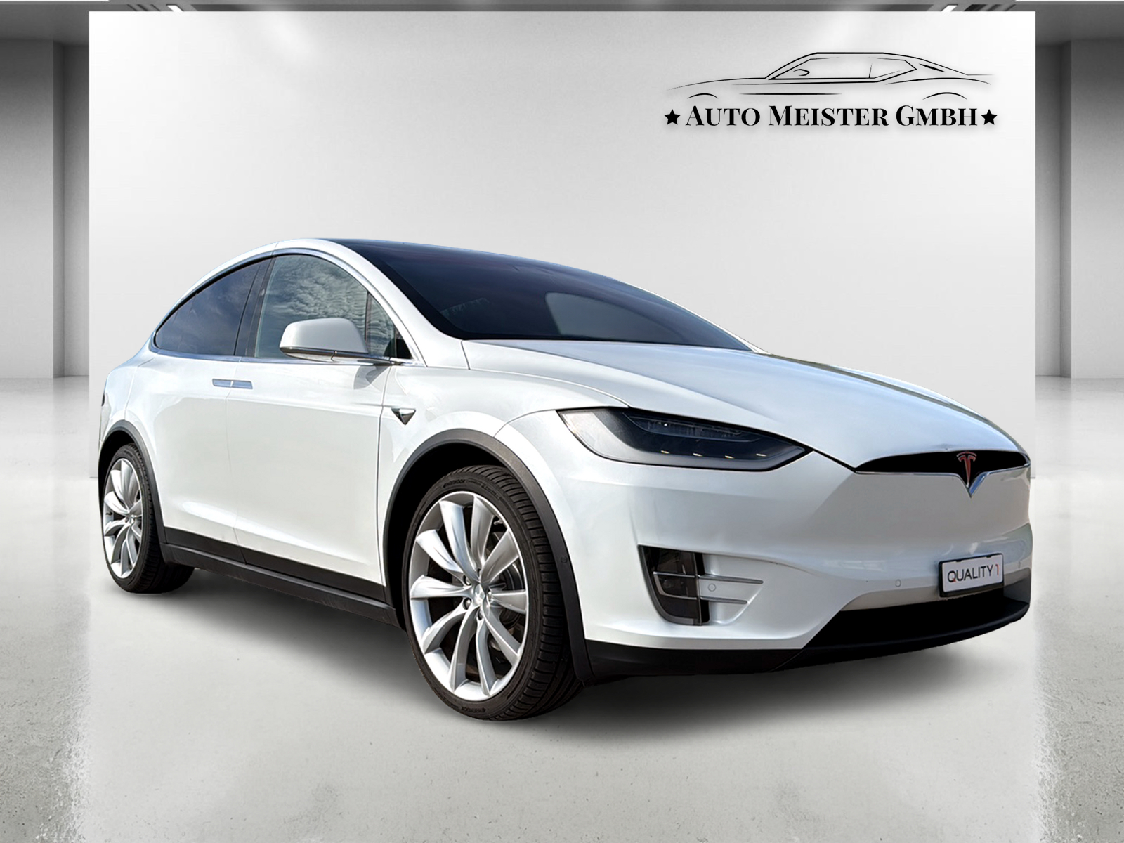 TESLA Model X 100 D-image-4