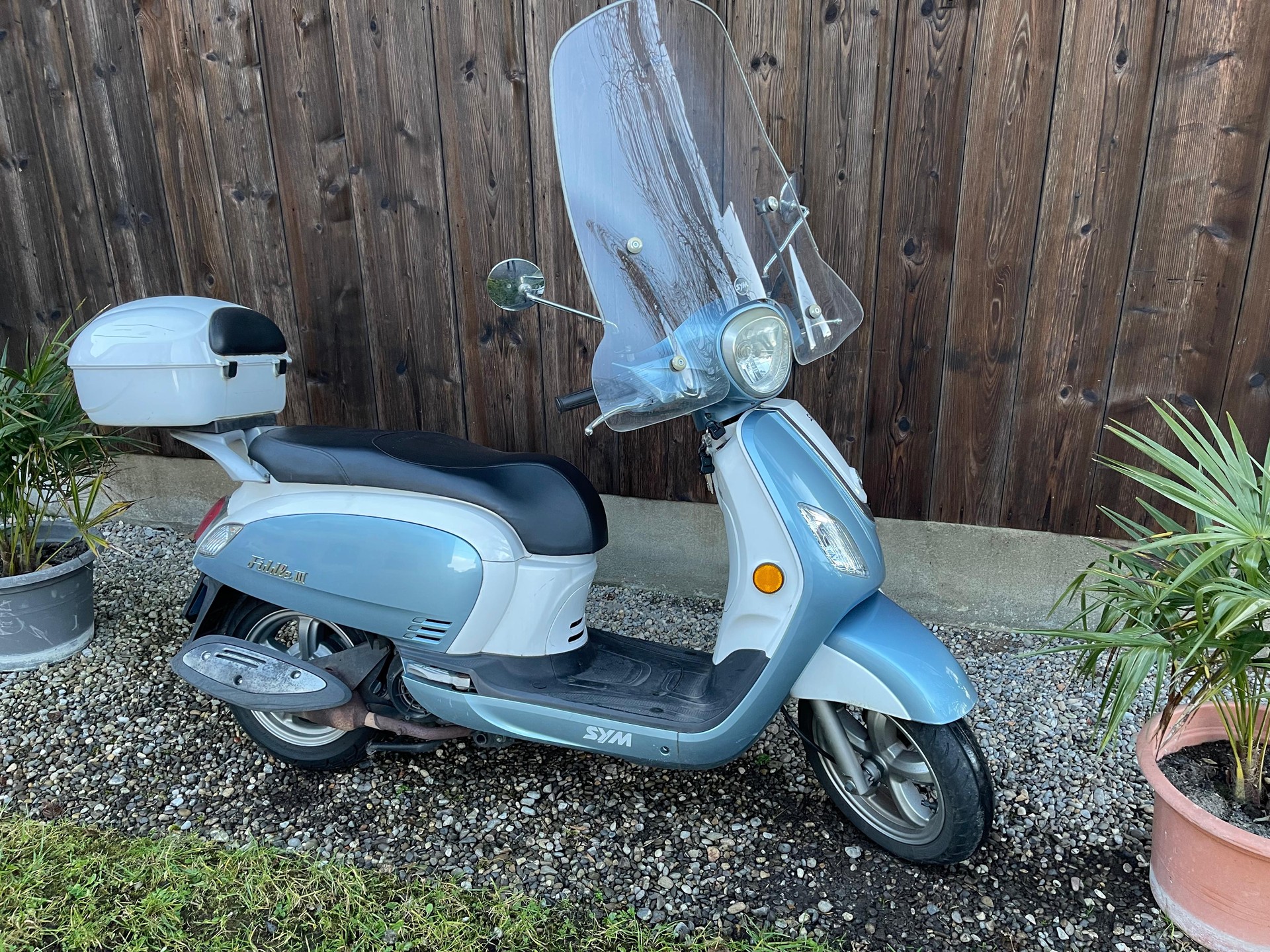 SYM Fiddle III 125