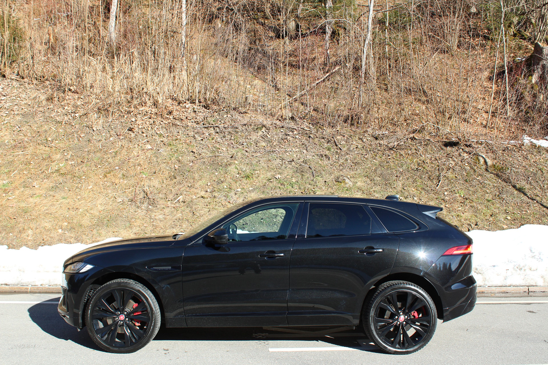 JAGUAR F-Pace 3.0 V6 S AWD Automatik-image-1