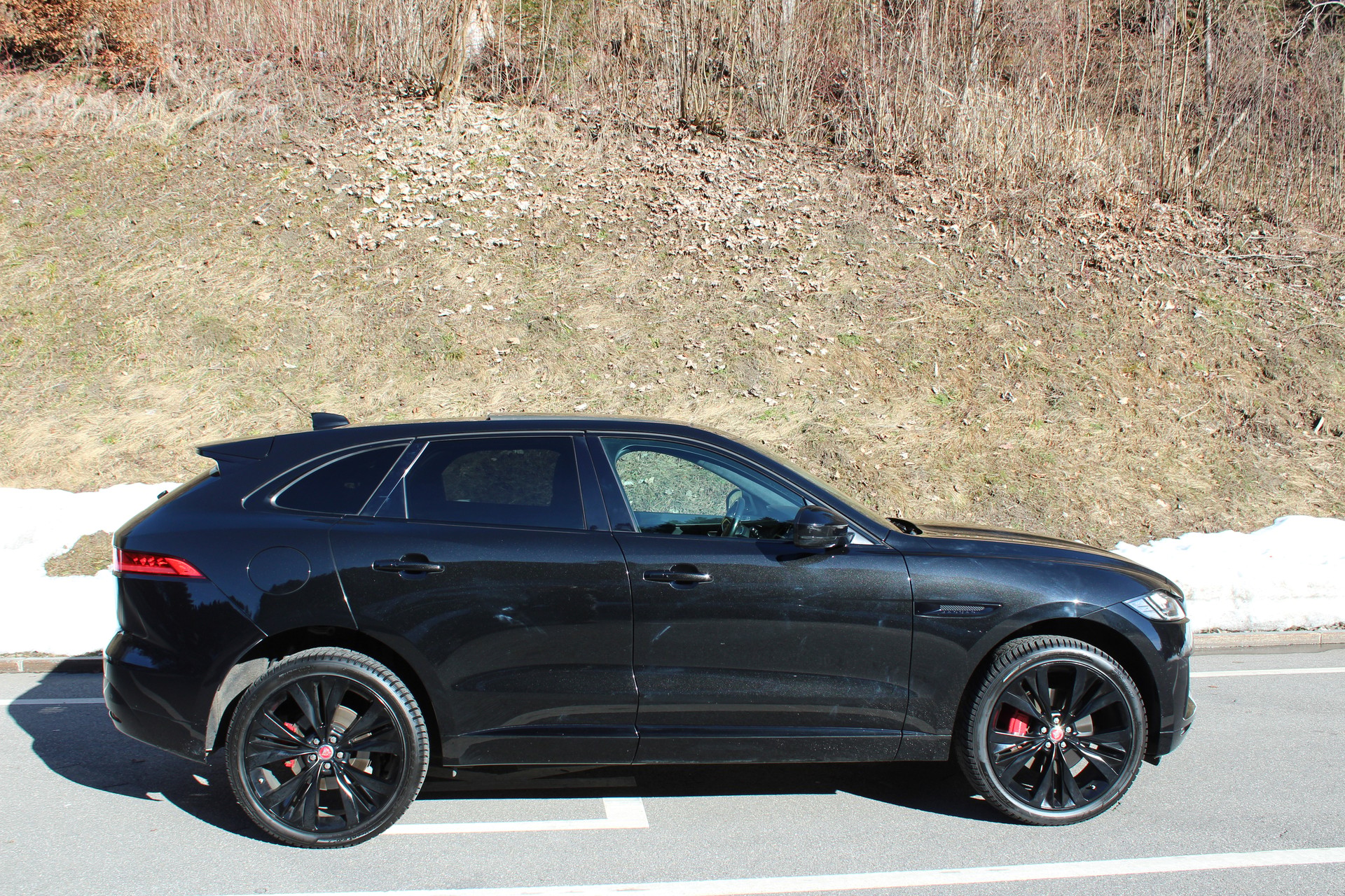 JAGUAR F-Pace 3.0 V6 S AWD Automatik-image-5