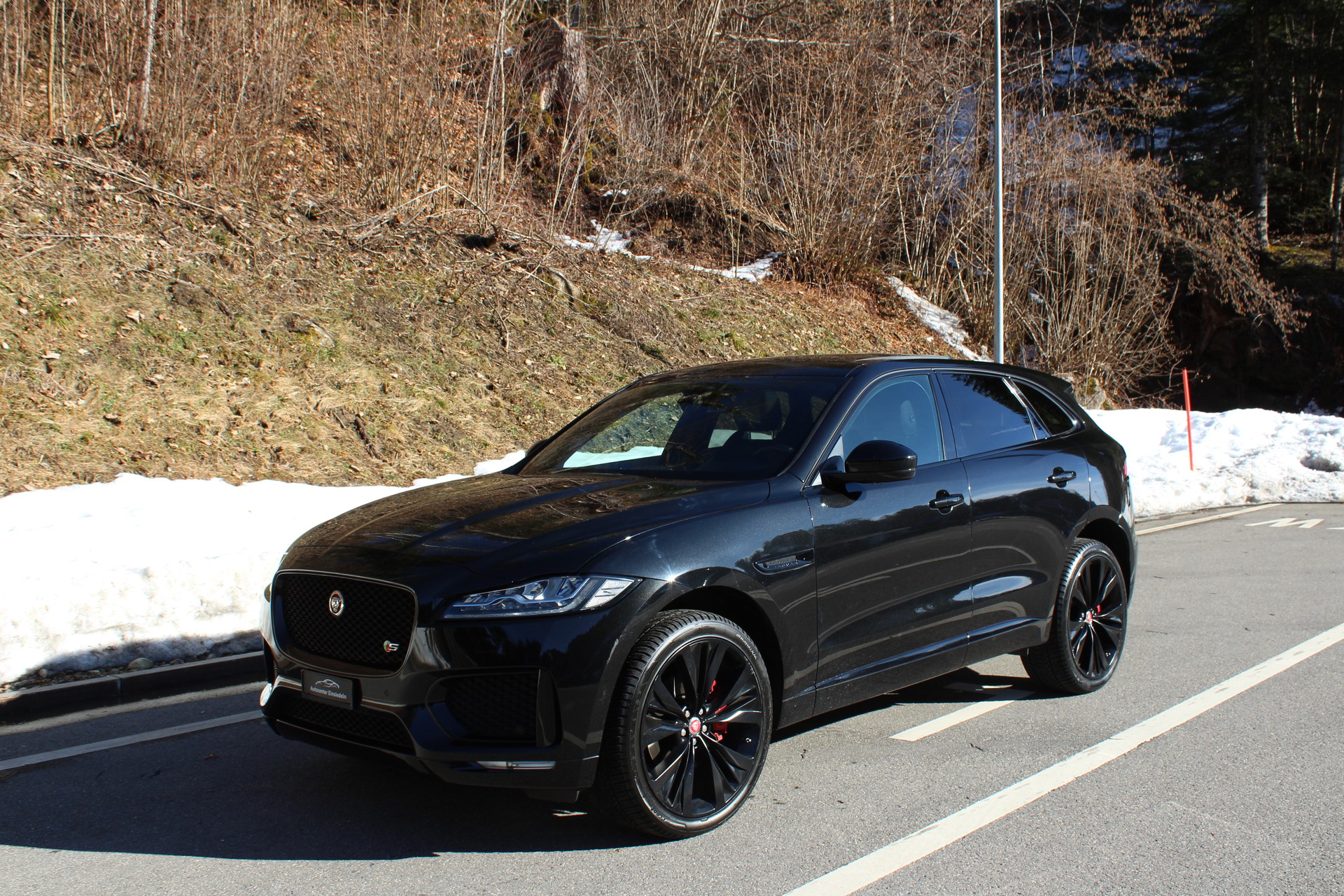 JAGUAR F-Pace 3.0 V6 S AWD Automatik-image-0