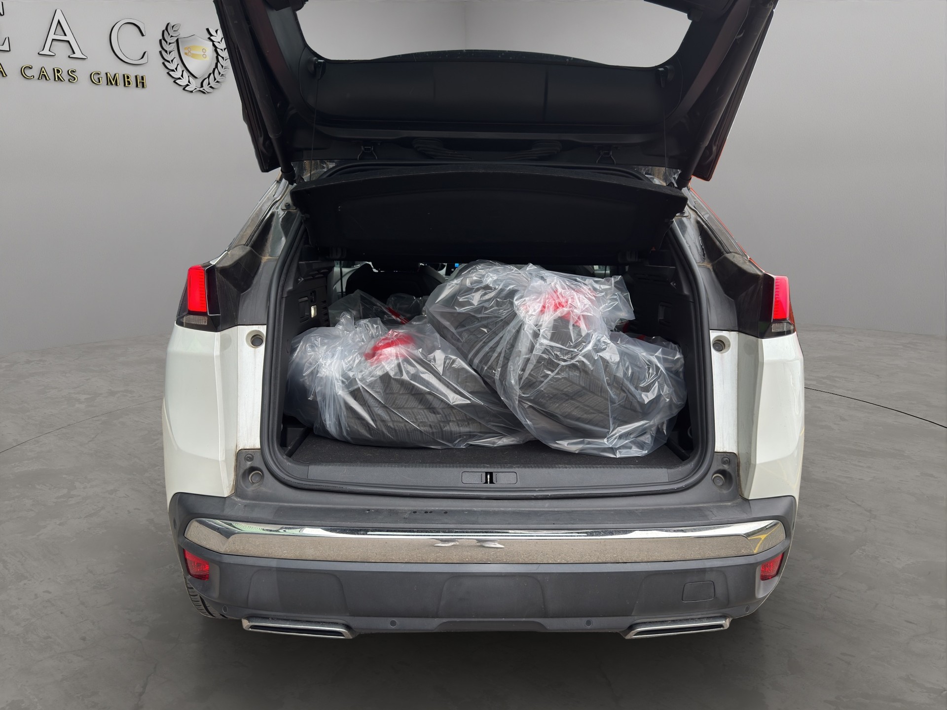 PEUGEOT 3008 1.5 BlueHDi GT Line EAT-image-14