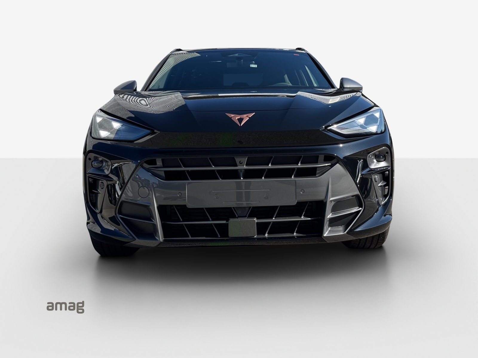 CUPRA Terramar 1.5 eTSI Prime Edition DSG-image-6