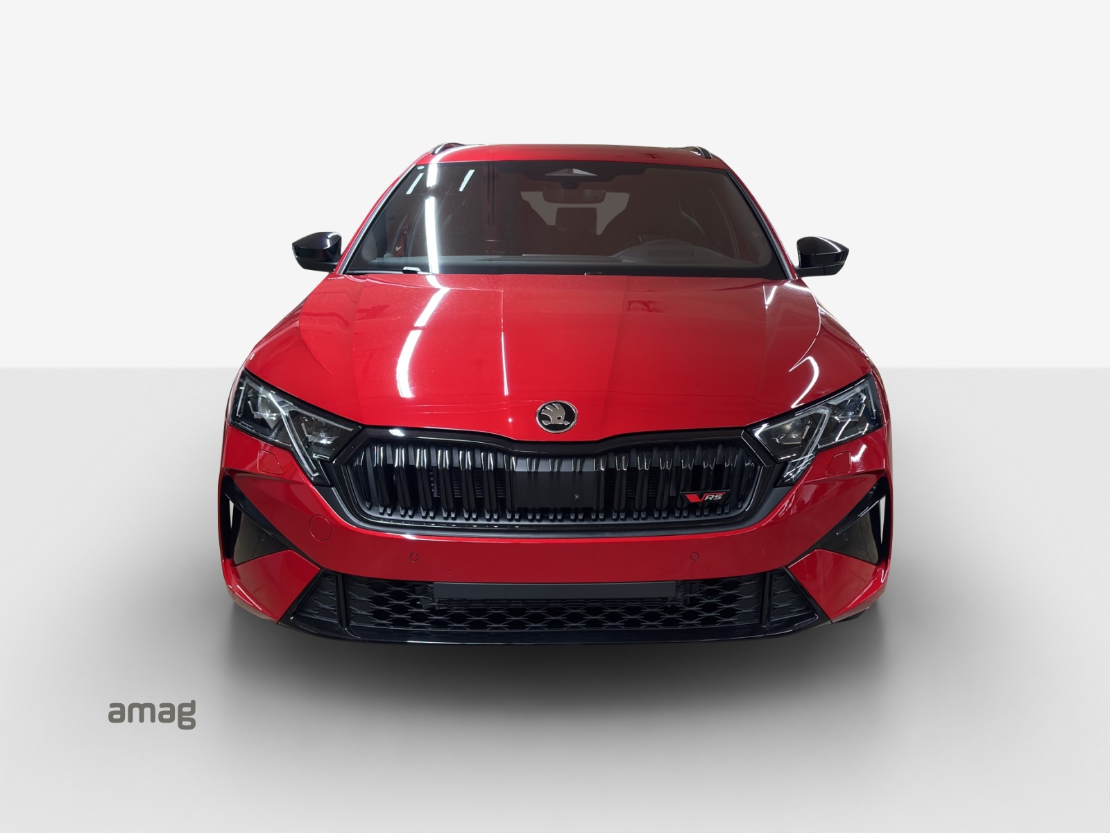 SKODA Octavia Combi 2.0 TSI DSG RS 30 Years Edition-image-5