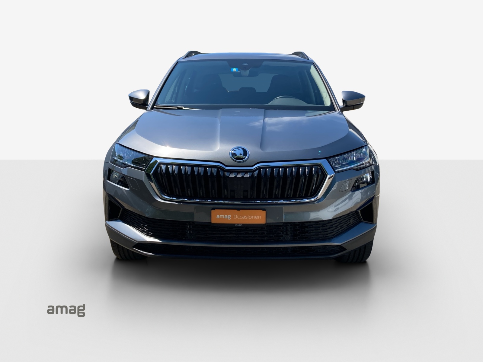 SKODA Karoq 1.5 TSI Ambition DSG-image-6