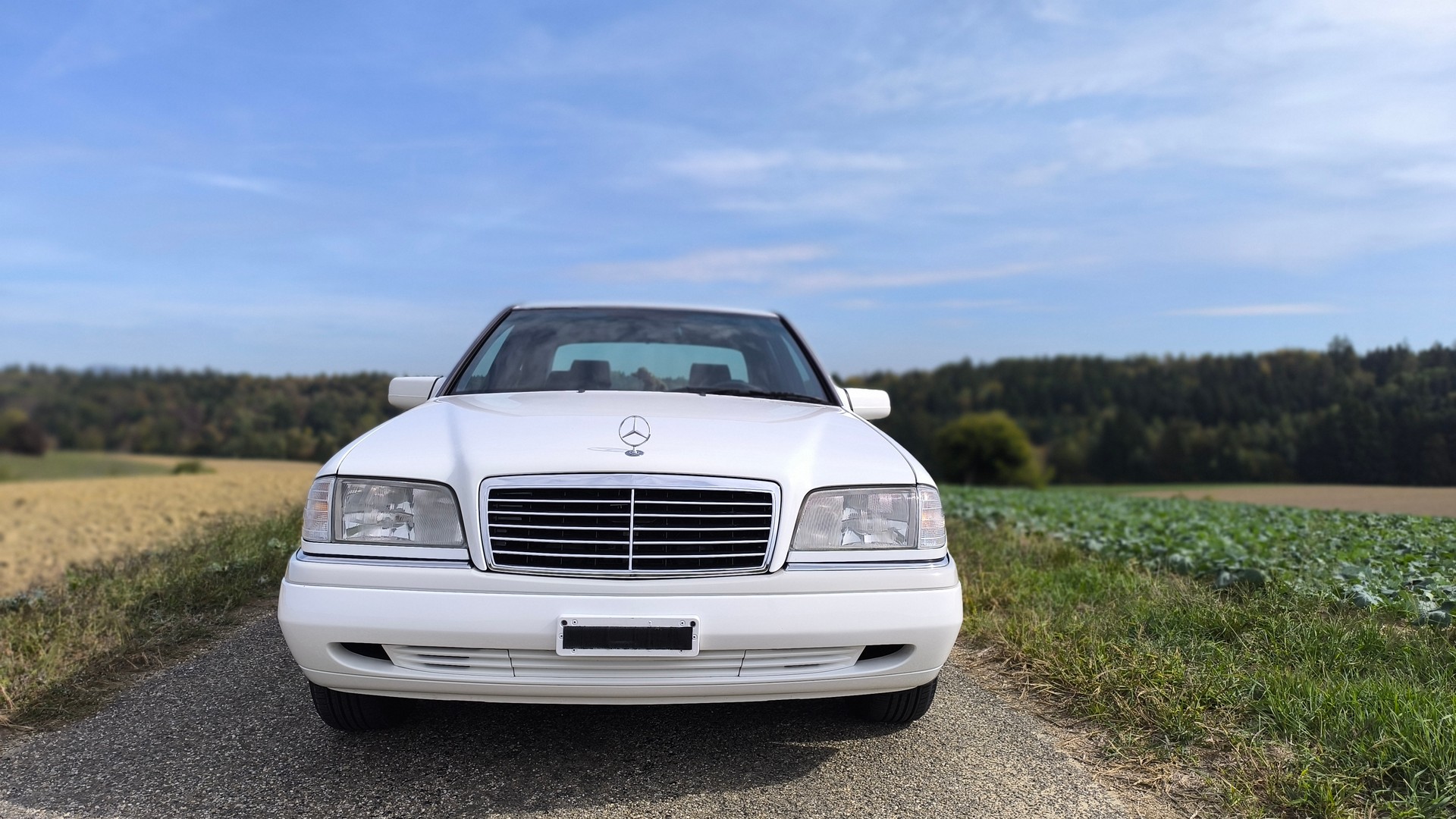 MERCEDES-BENZ C 280-image-15