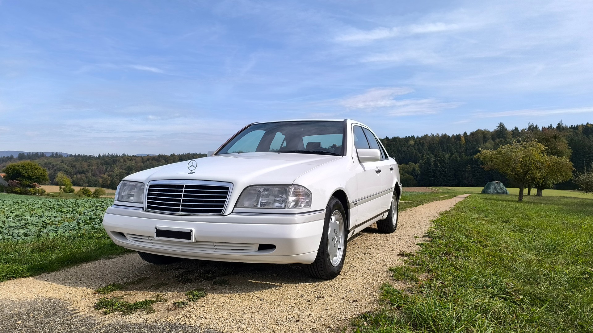 MERCEDES-BENZ C 280-image-17
