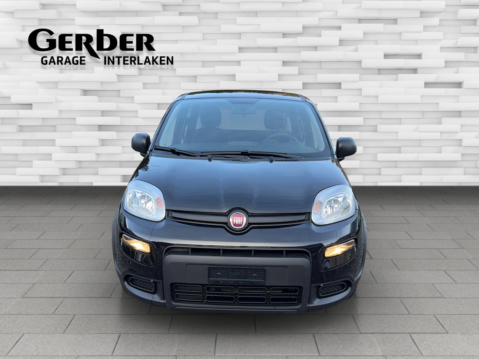 FIAT Panda 1.0 Hybrid-image-1