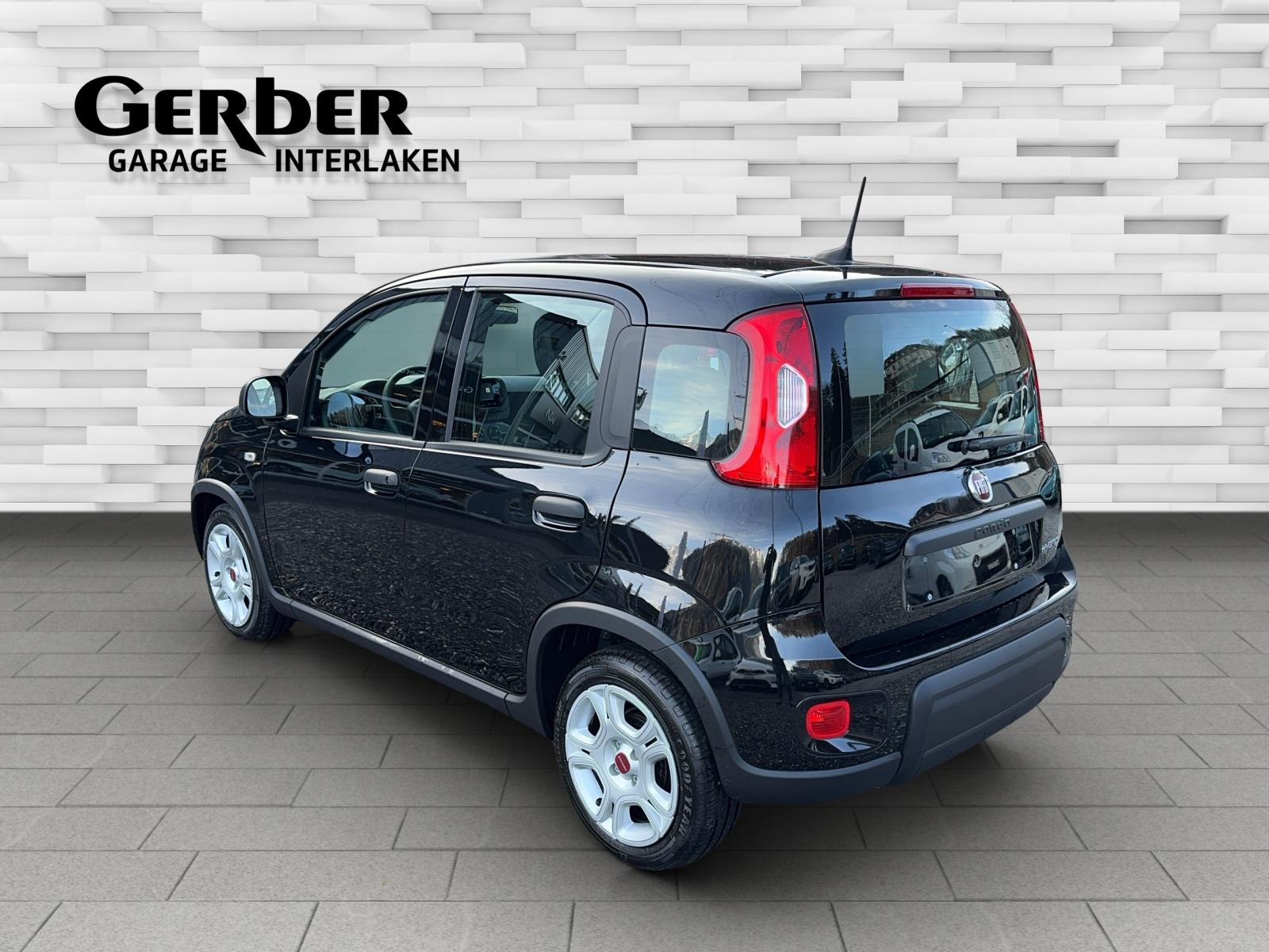 FIAT Panda 1.0 Hybrid-image-3