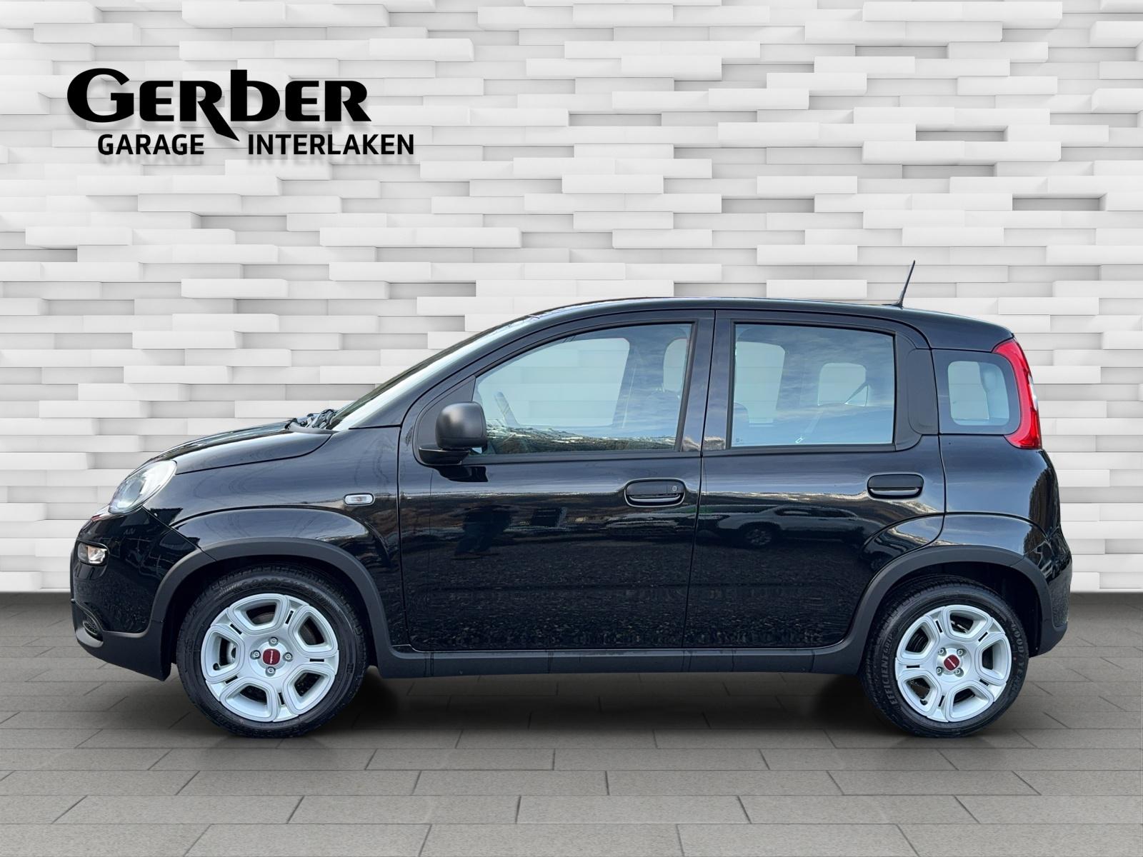 FIAT Panda 1.0 Hybrid-image-2