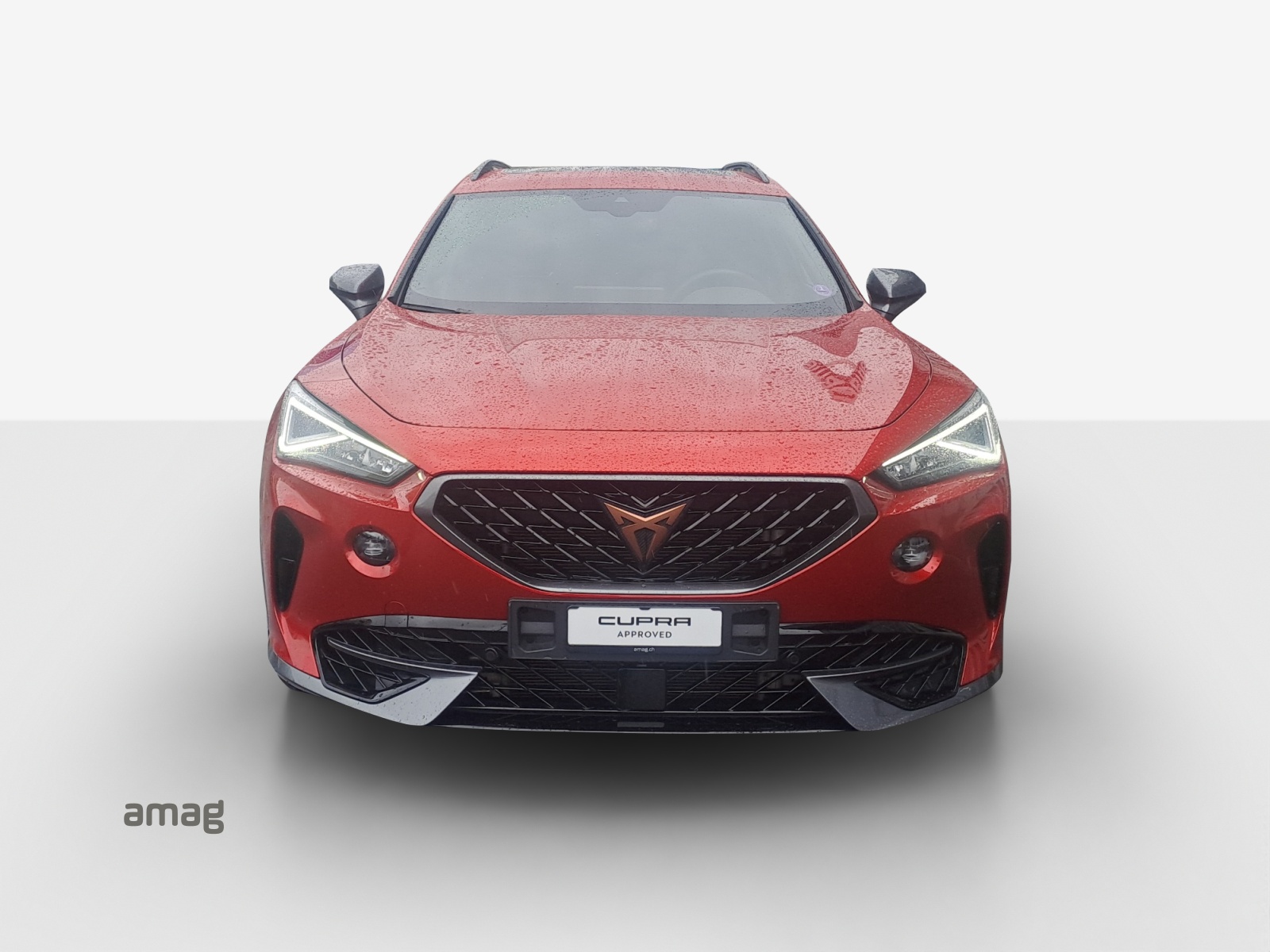 CUPRA Formentor 2.0TSI VZ 4Drive DSG-image-6