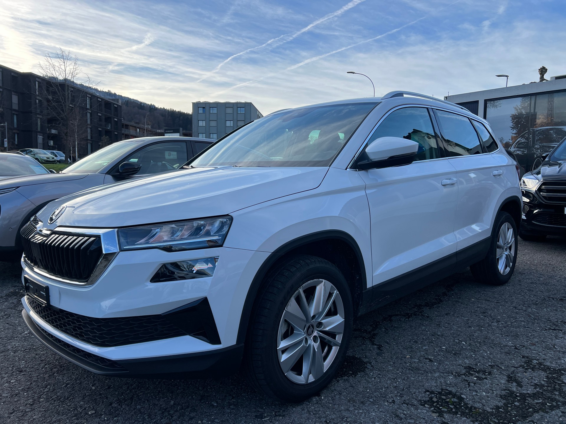 SKODA Karoq 1.5 TSI Selection DSG-image-9