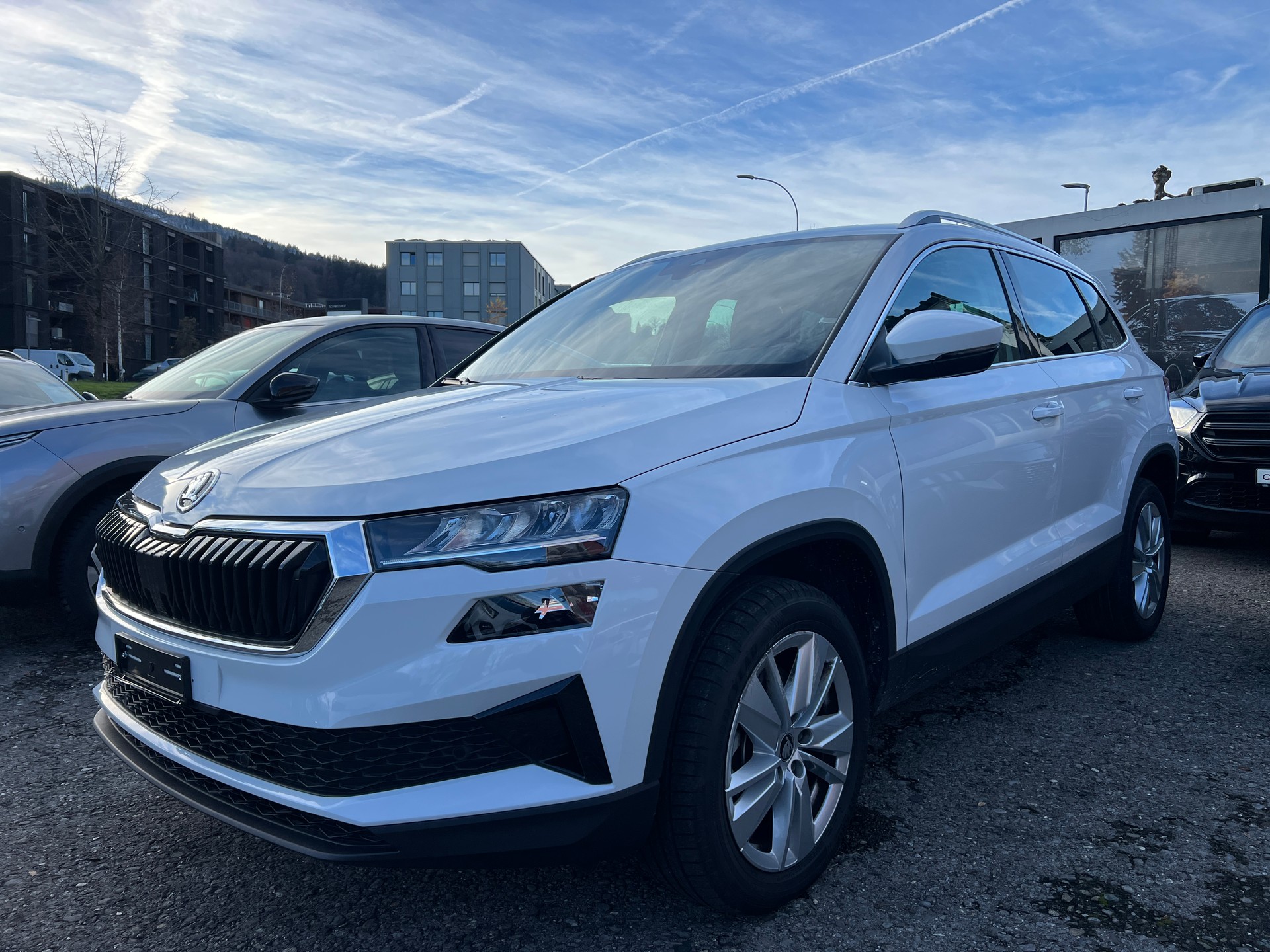 SKODA Karoq 1.5 TSI Selection DSG-image-0