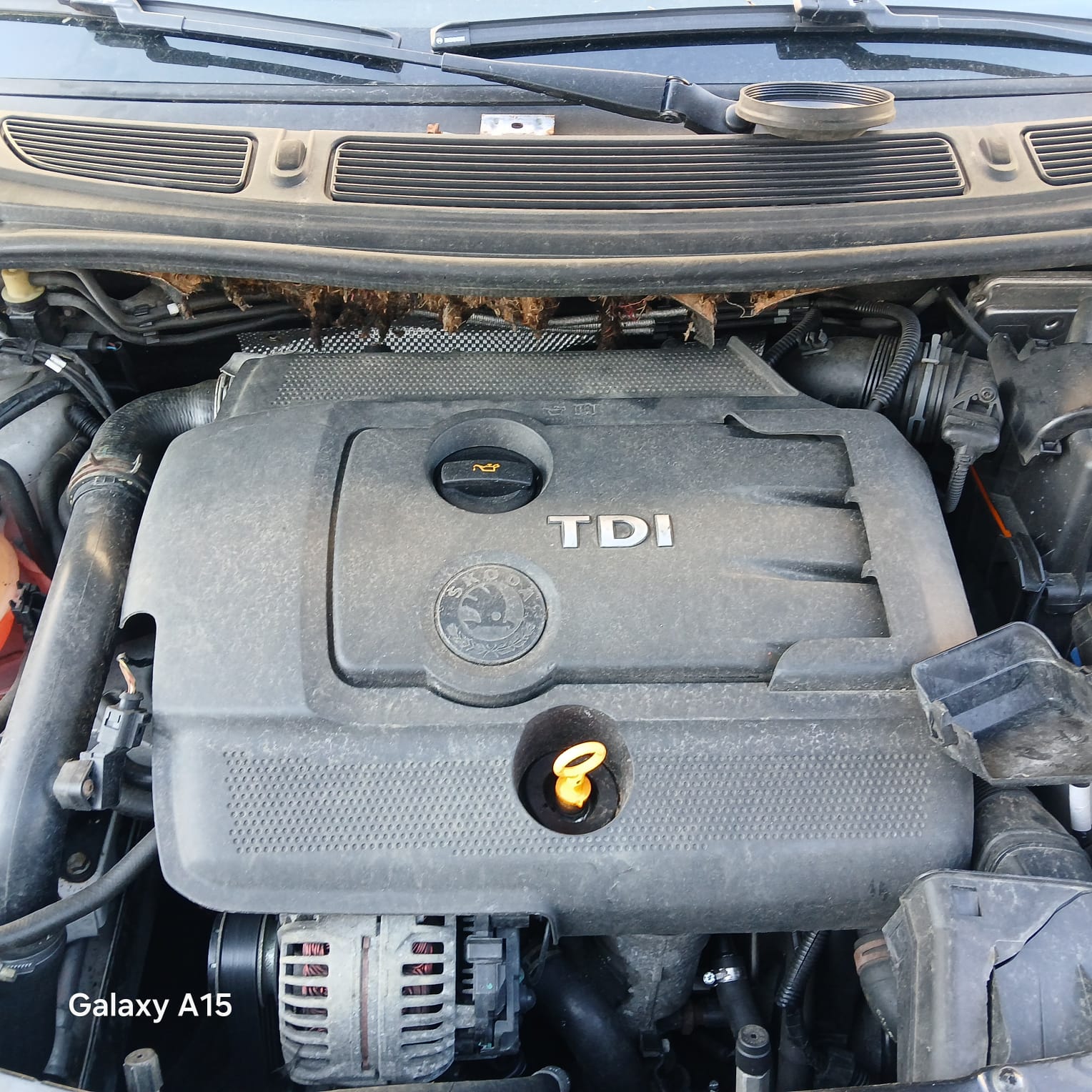SKODA 1.9tdi-image-4