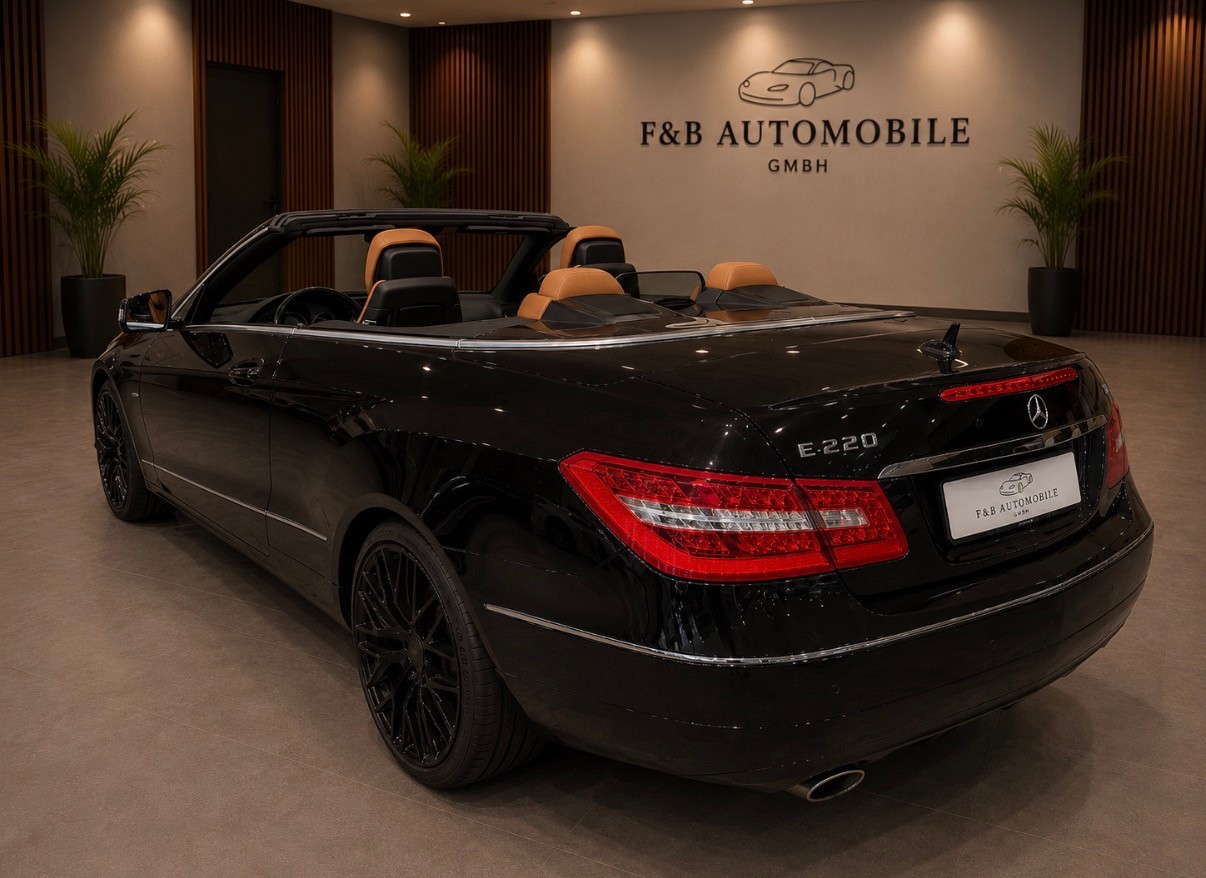 MERCEDES-BENZ E 220 CDI BlueEfficiency Automatic-image-6